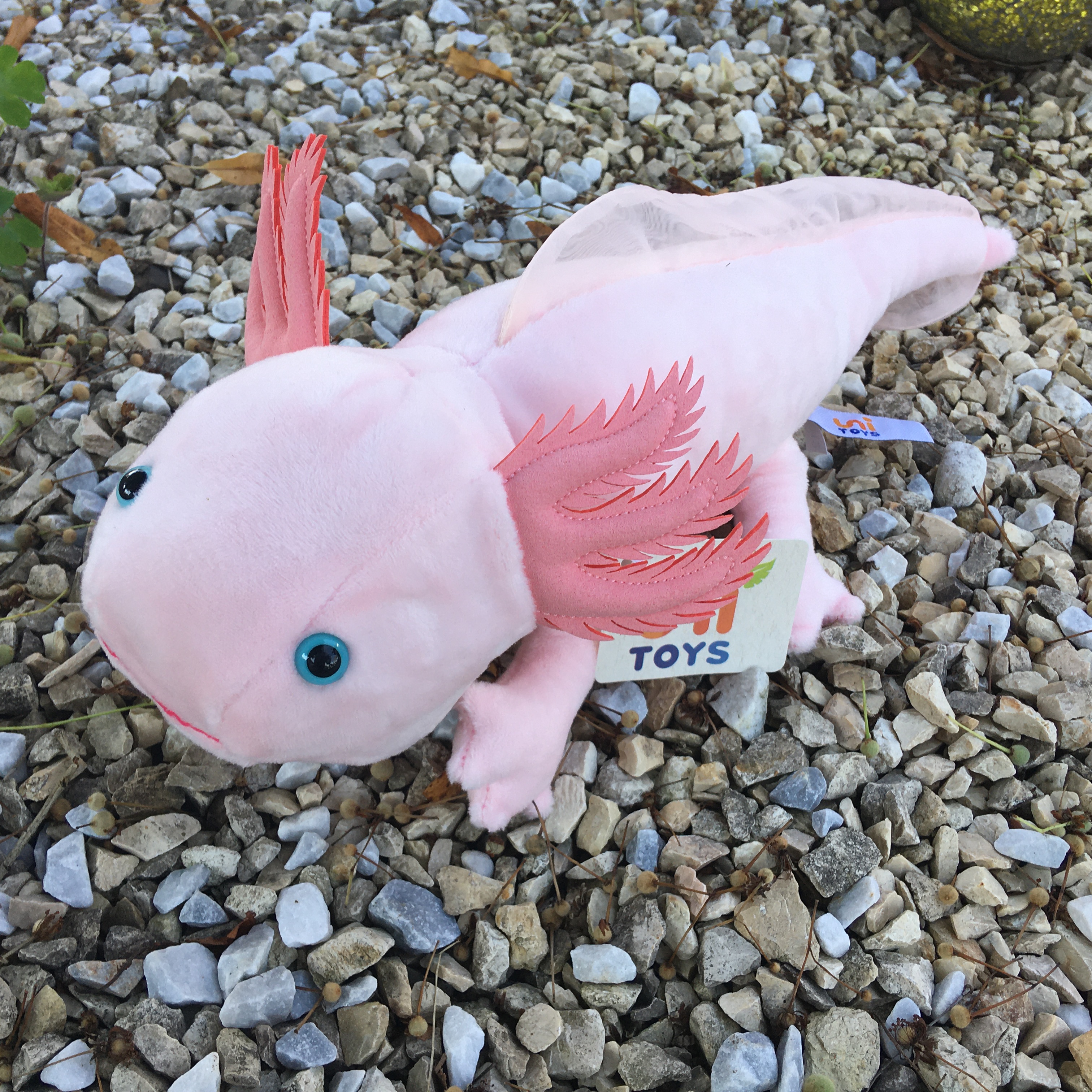 Axolotl (pink)- 32 cm (length) 