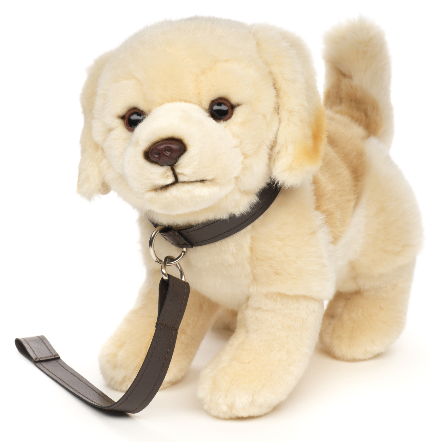 Golden Retriever Puppy, Standing (With Leash) - 22 cm (height)