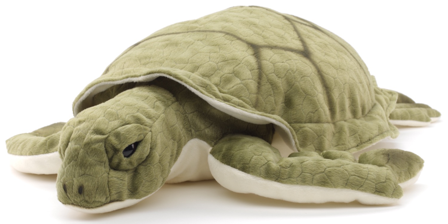 Green sea turtle - 55 cm OR 34 cm (length) 