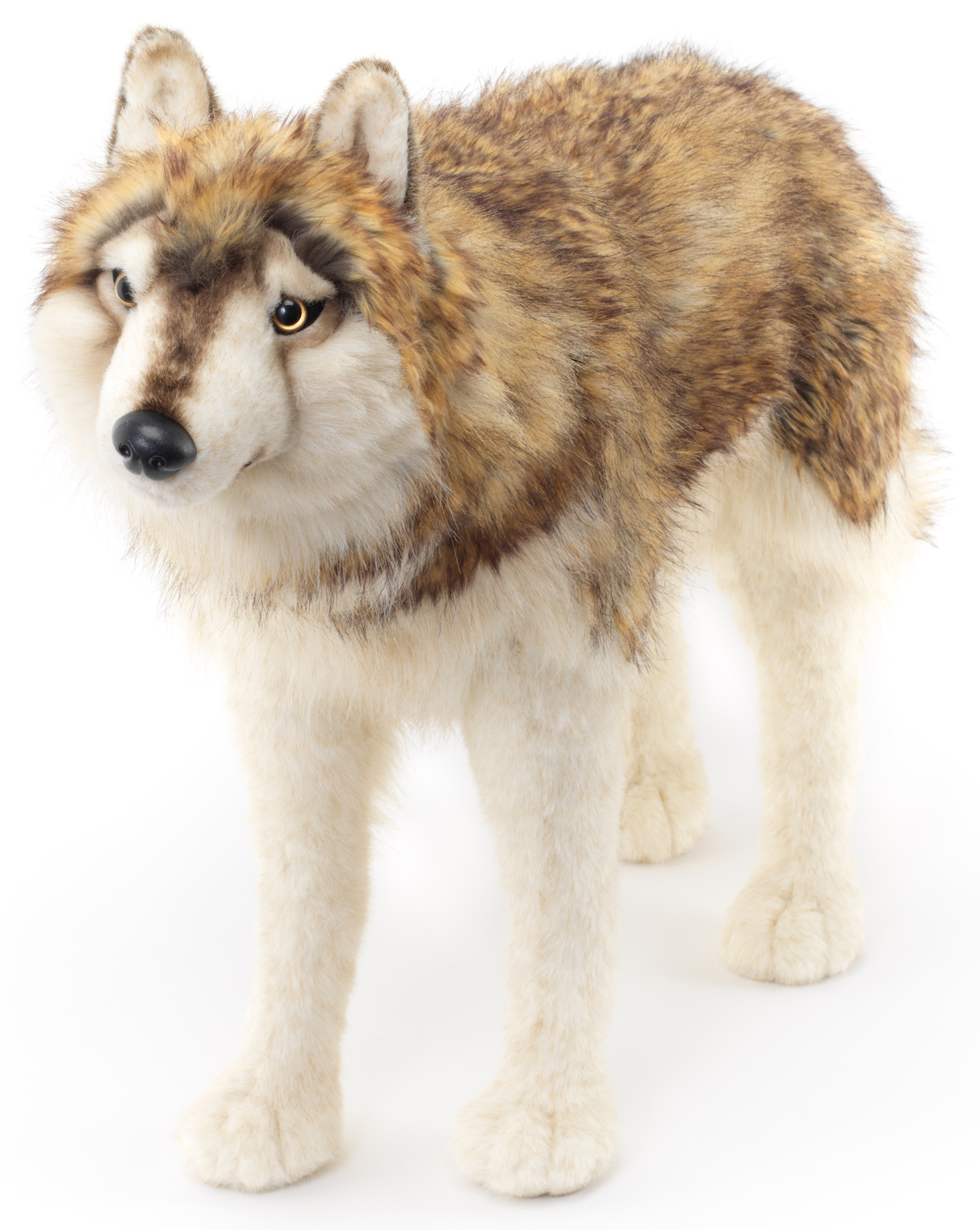  Wolf, standing - 94 cm (length) 