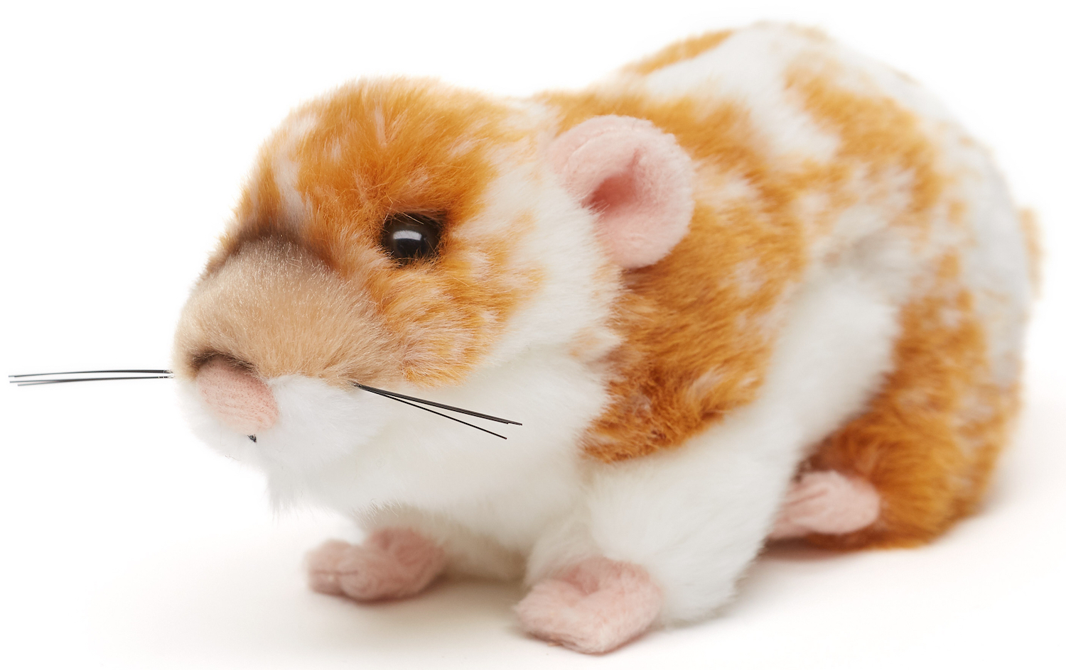 Golden hamster, golden brown - 18 cm (length) 