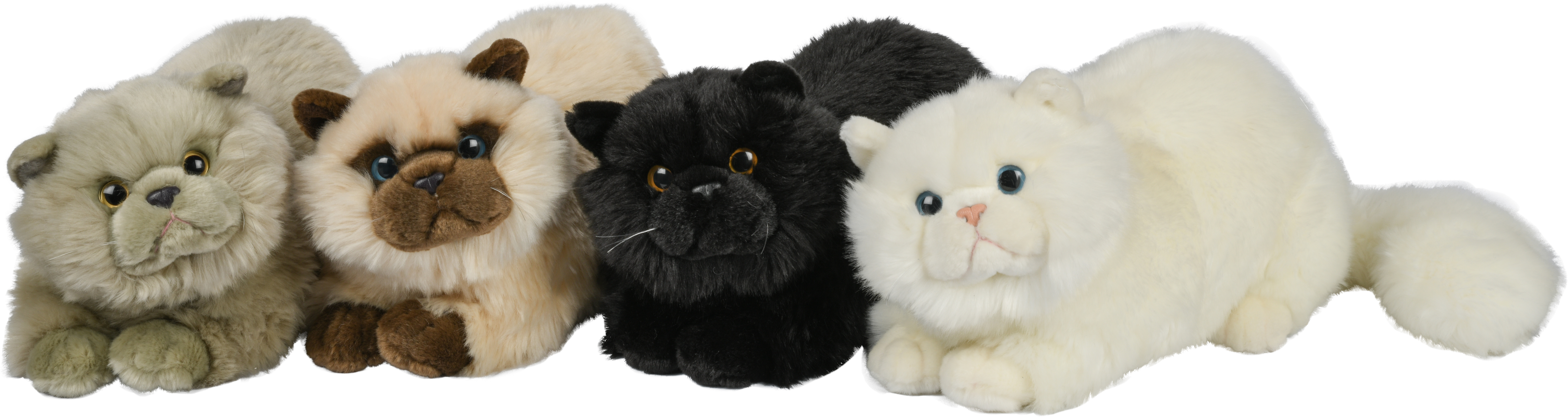 Persian cats, lying - 31 cm (length)