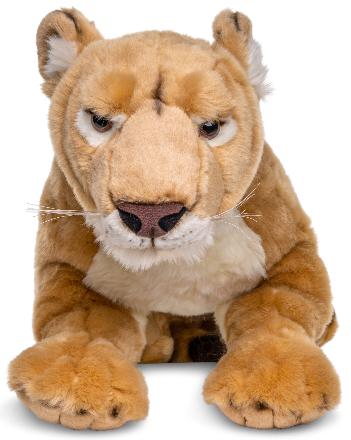 Lioness 78 cm (Length)  