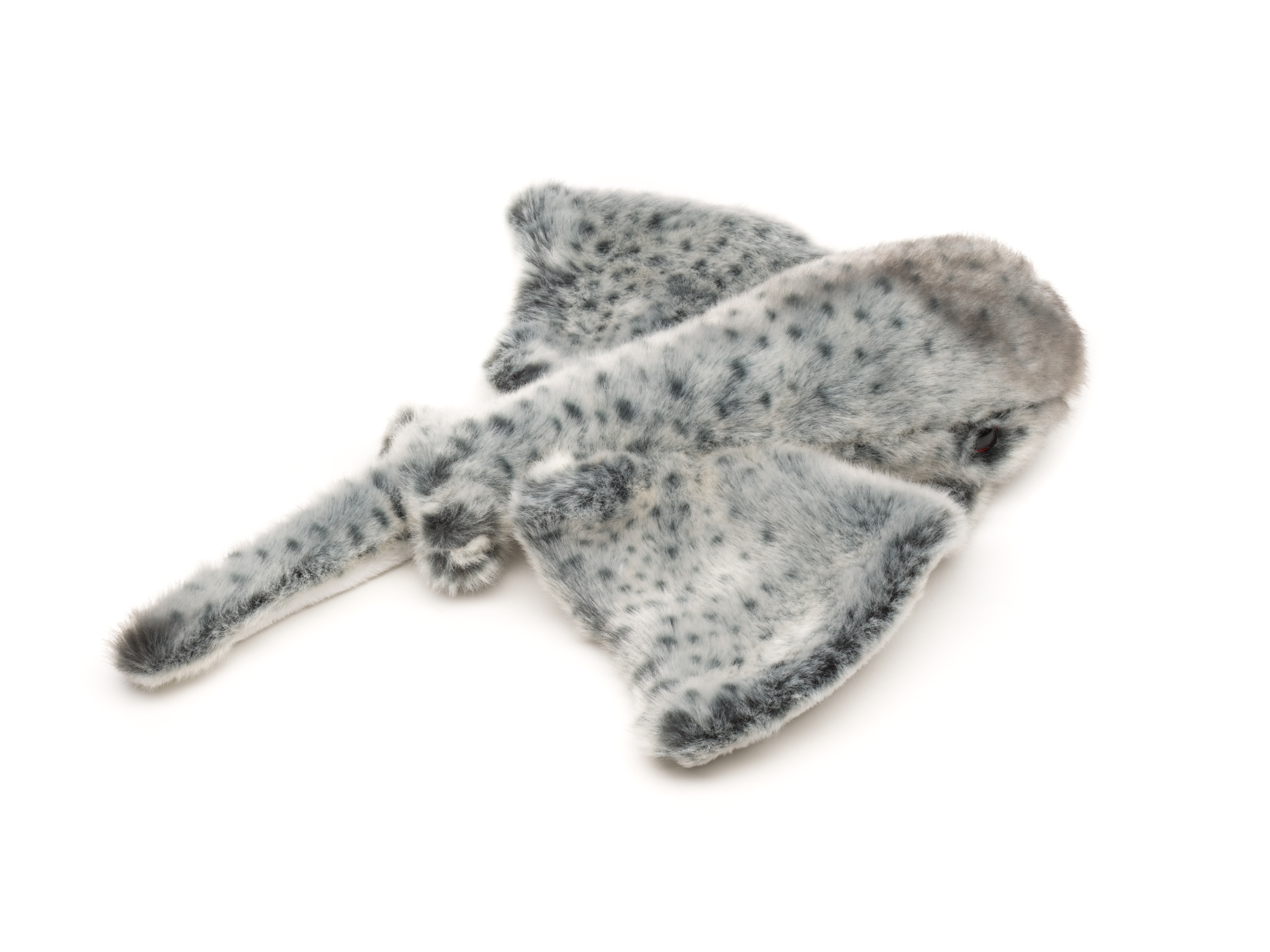 Stachelrochen - 30 cm (Länge)