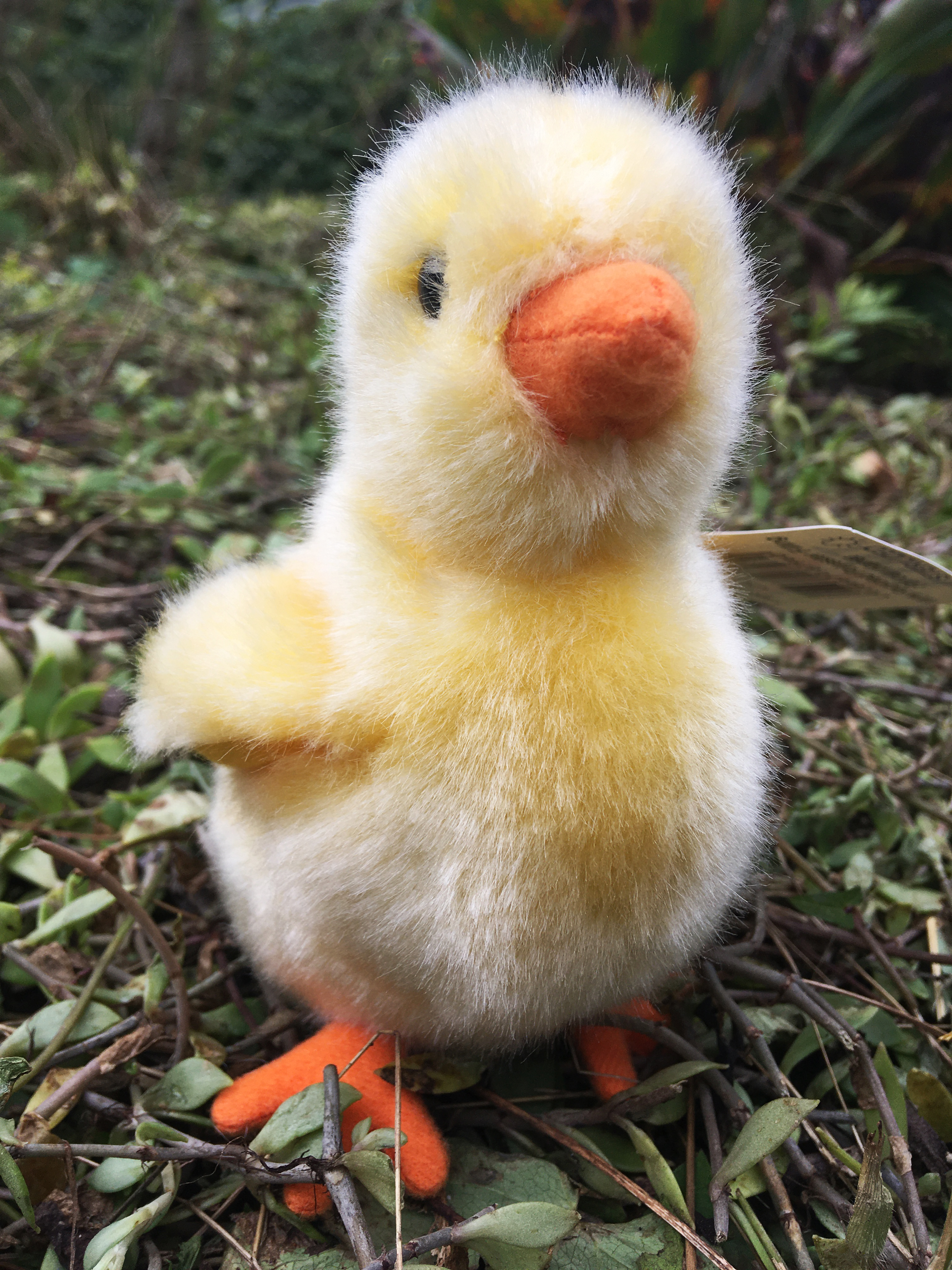  chick yellow - 13 cm (height) 