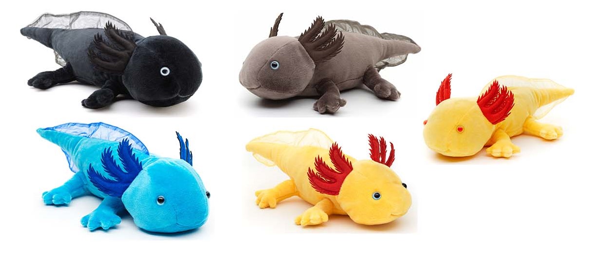 Axolotl in 5 colors - 32 cm (length) 