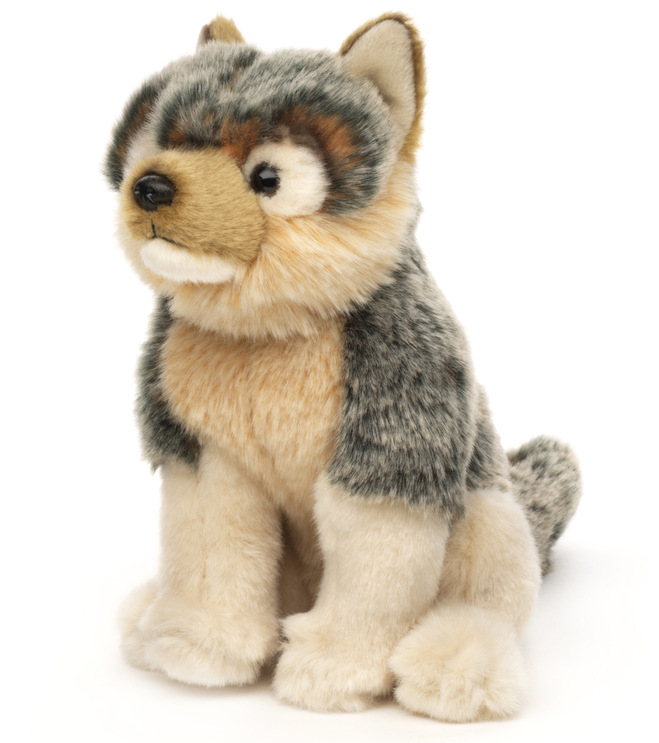 Gray Wolf Cub, Sitting - 26 cm (length) 