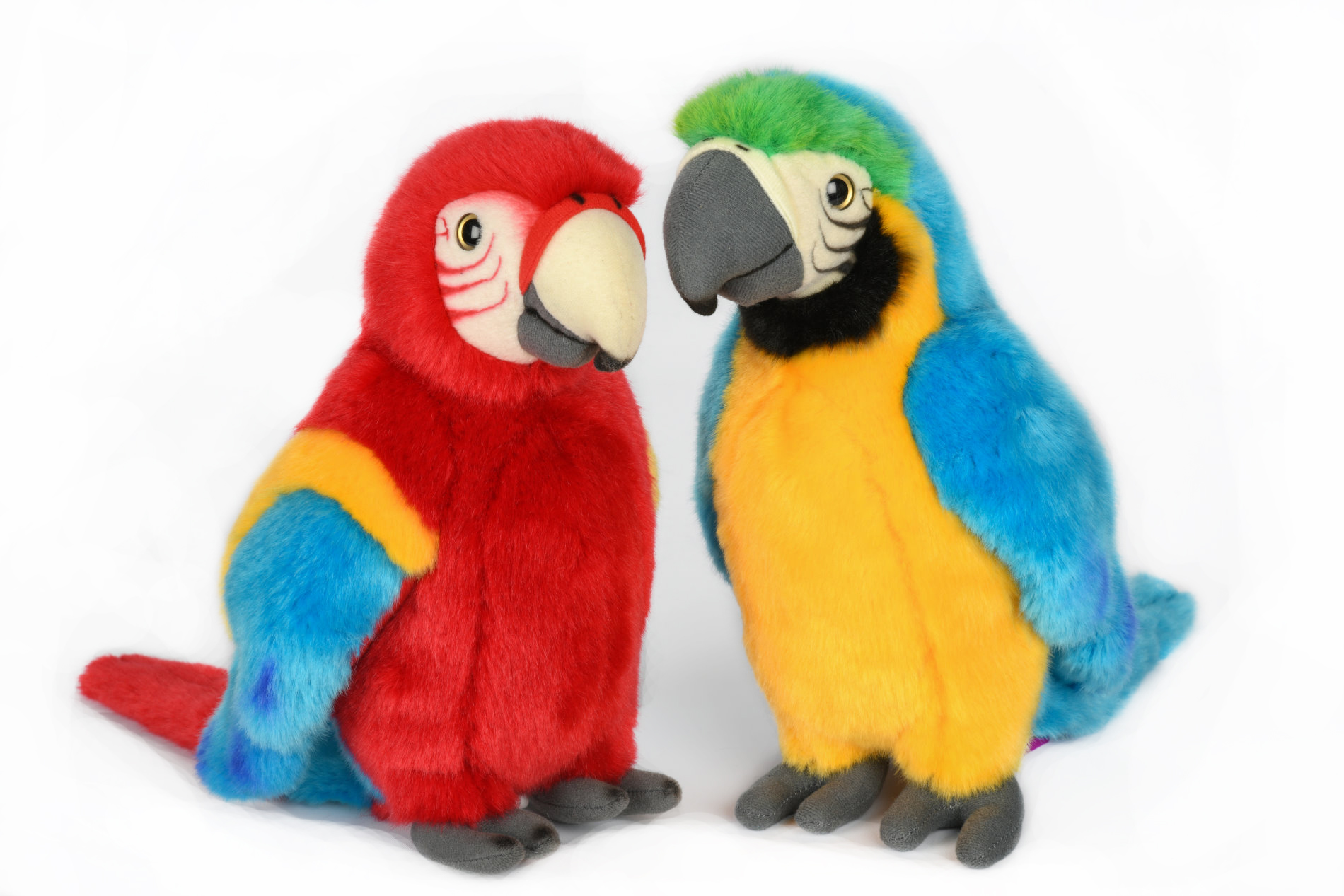  Parrot - 28 cm (height)  