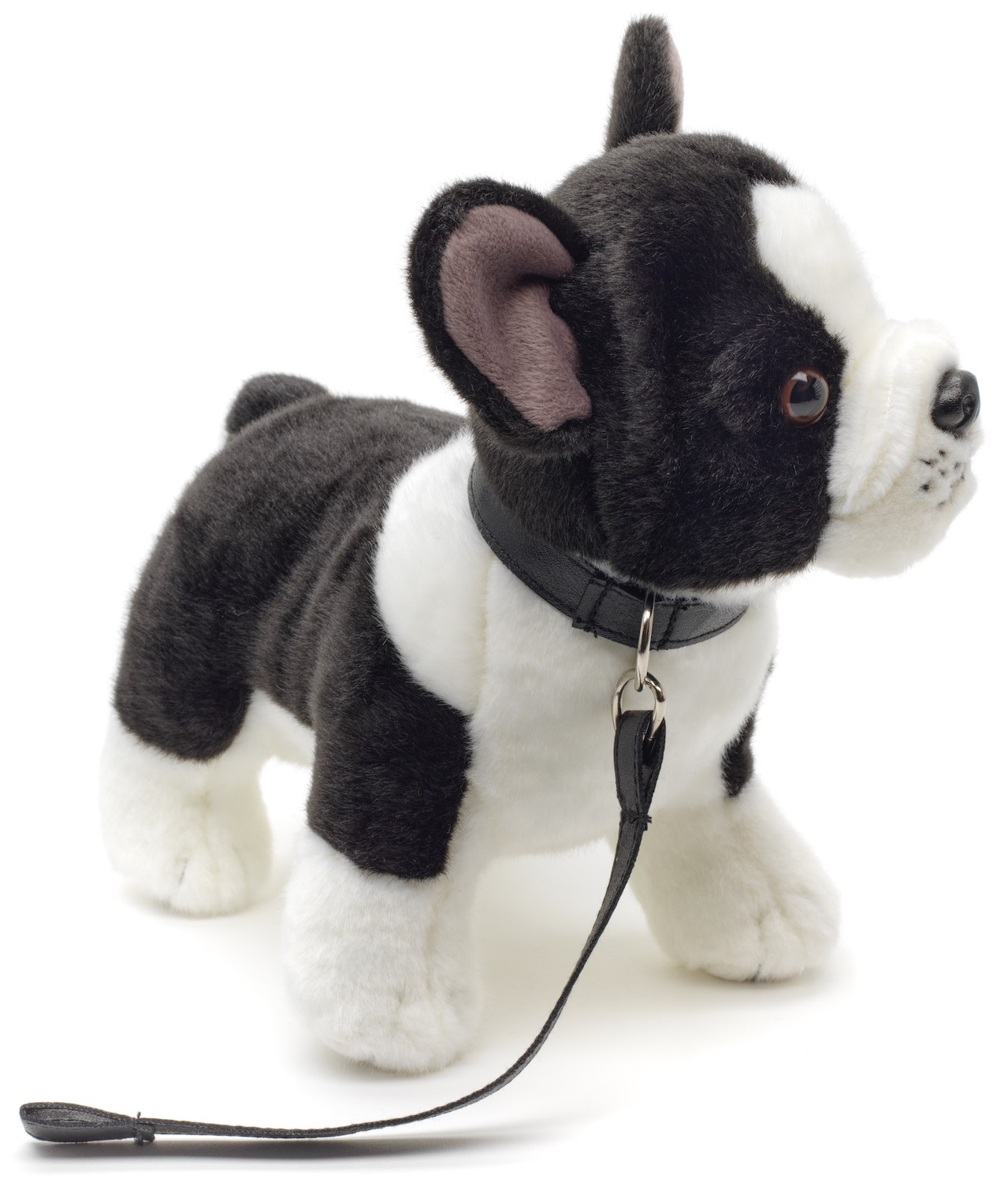 French Bulldog (black and white) with leash - 25 cm (length)