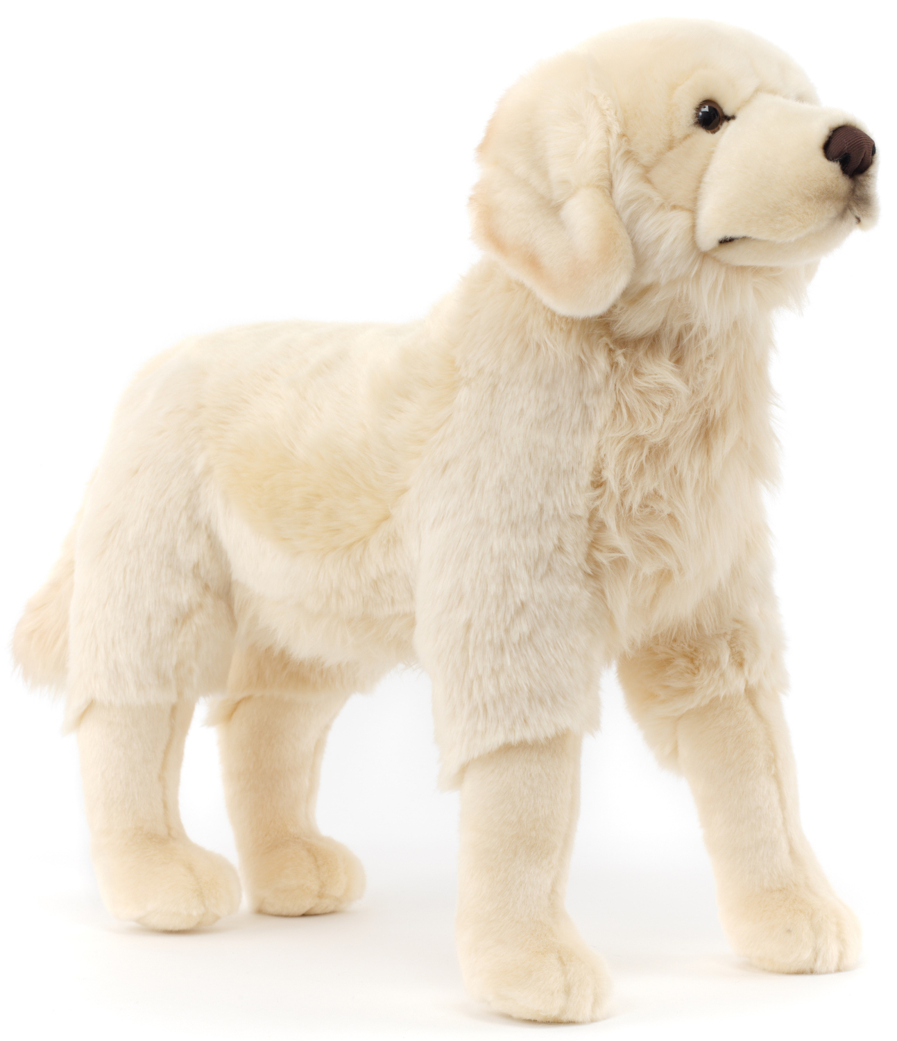  Golden Retriever 'Joy', standing - 50 cm (height) 