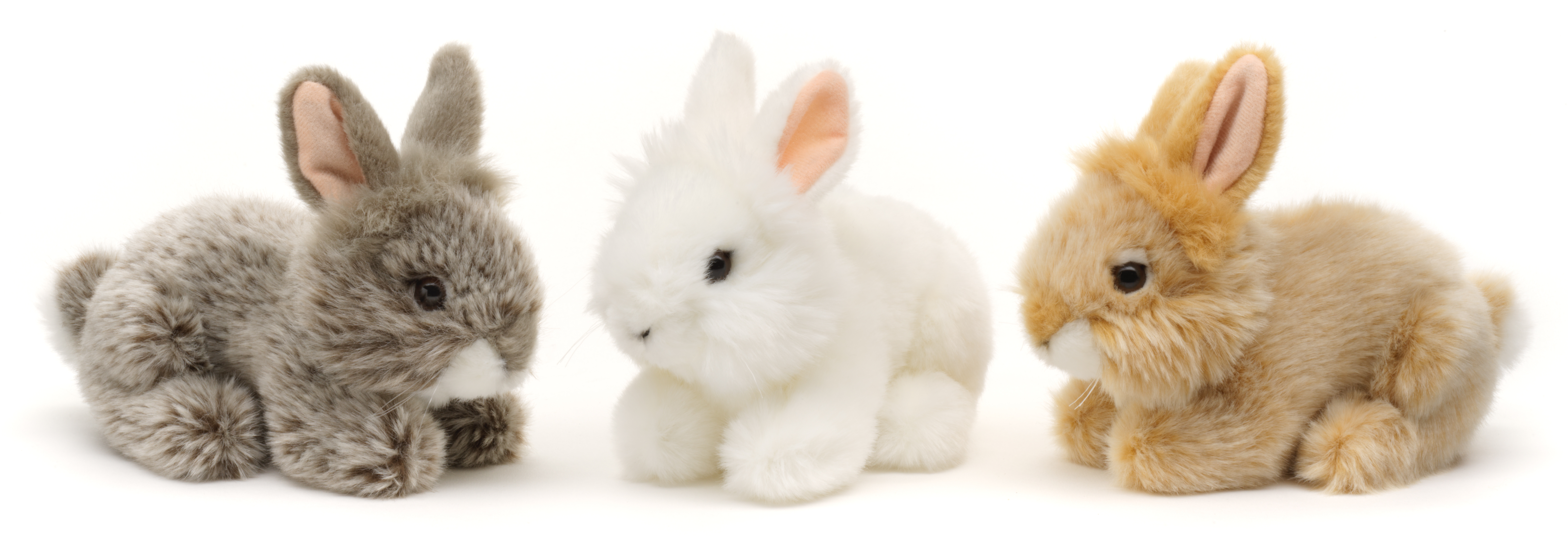 Angora rabbit, lying- 18cm  (length)