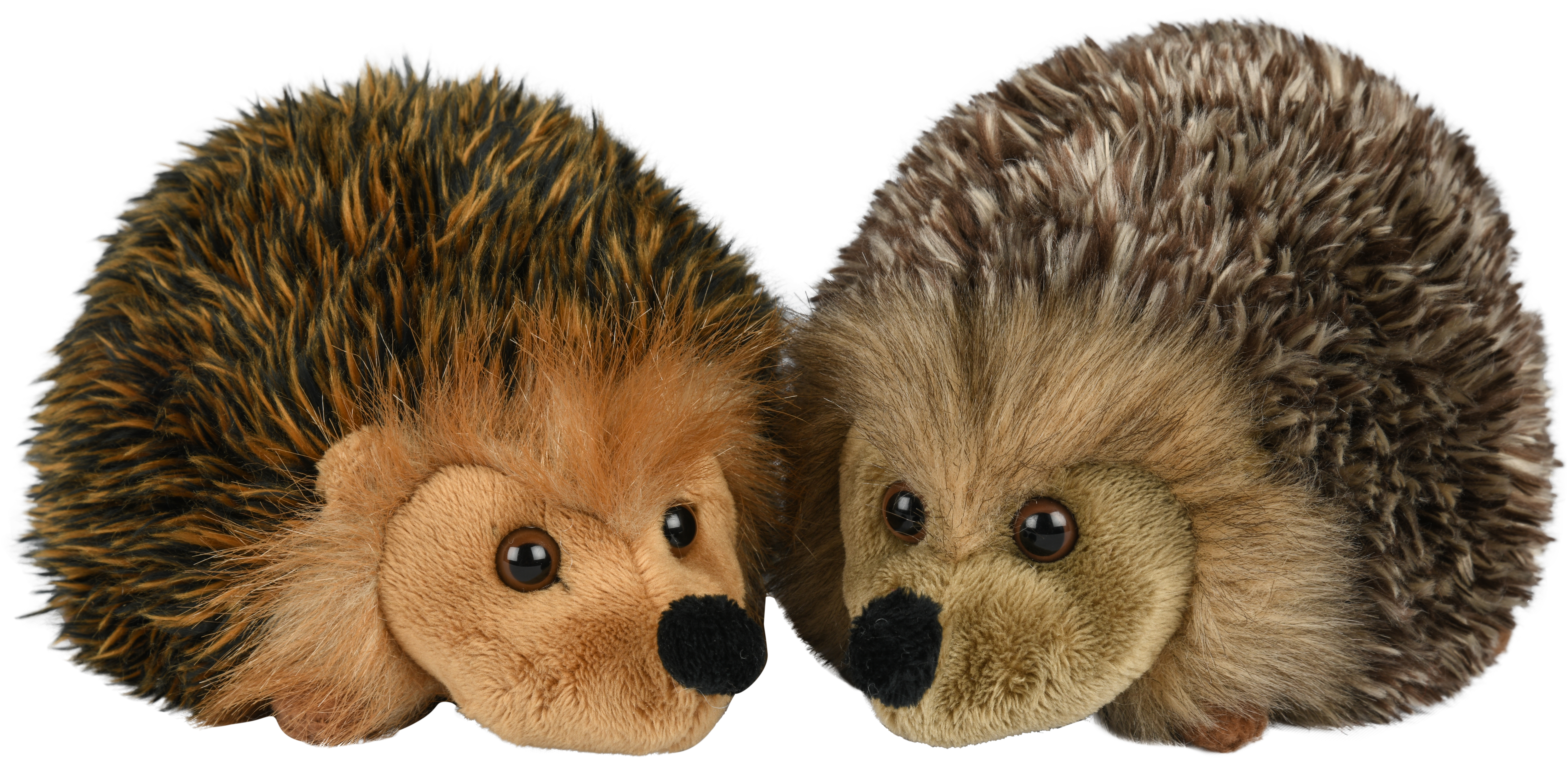 hedgehog gold-brown (gray-brown- 15 cm (length) 