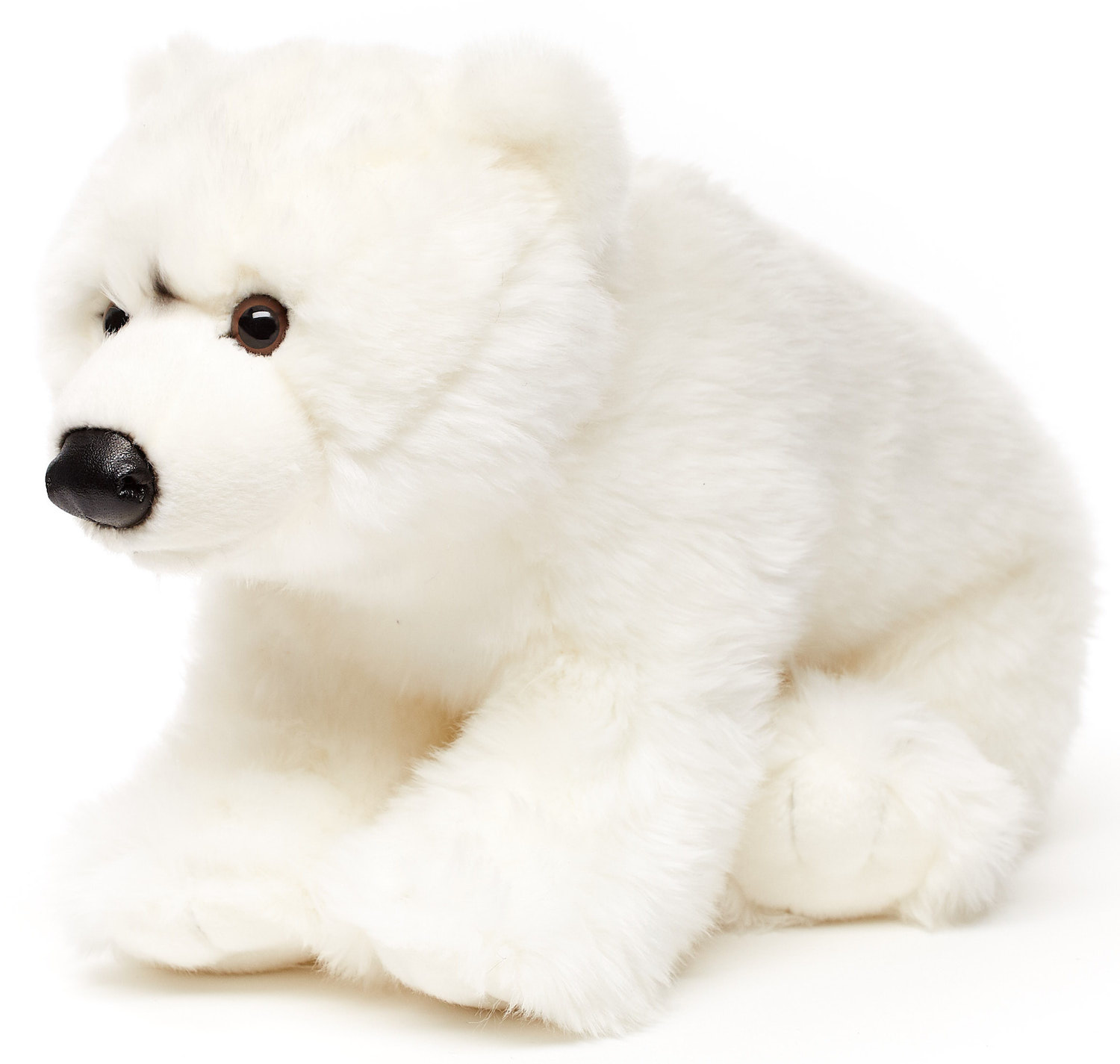 Polar bear cub - 36 cm (length)