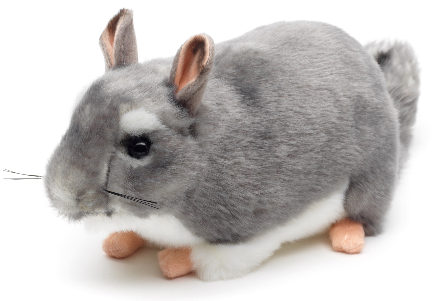 Chinchilla Grey - 22 cm (length) 