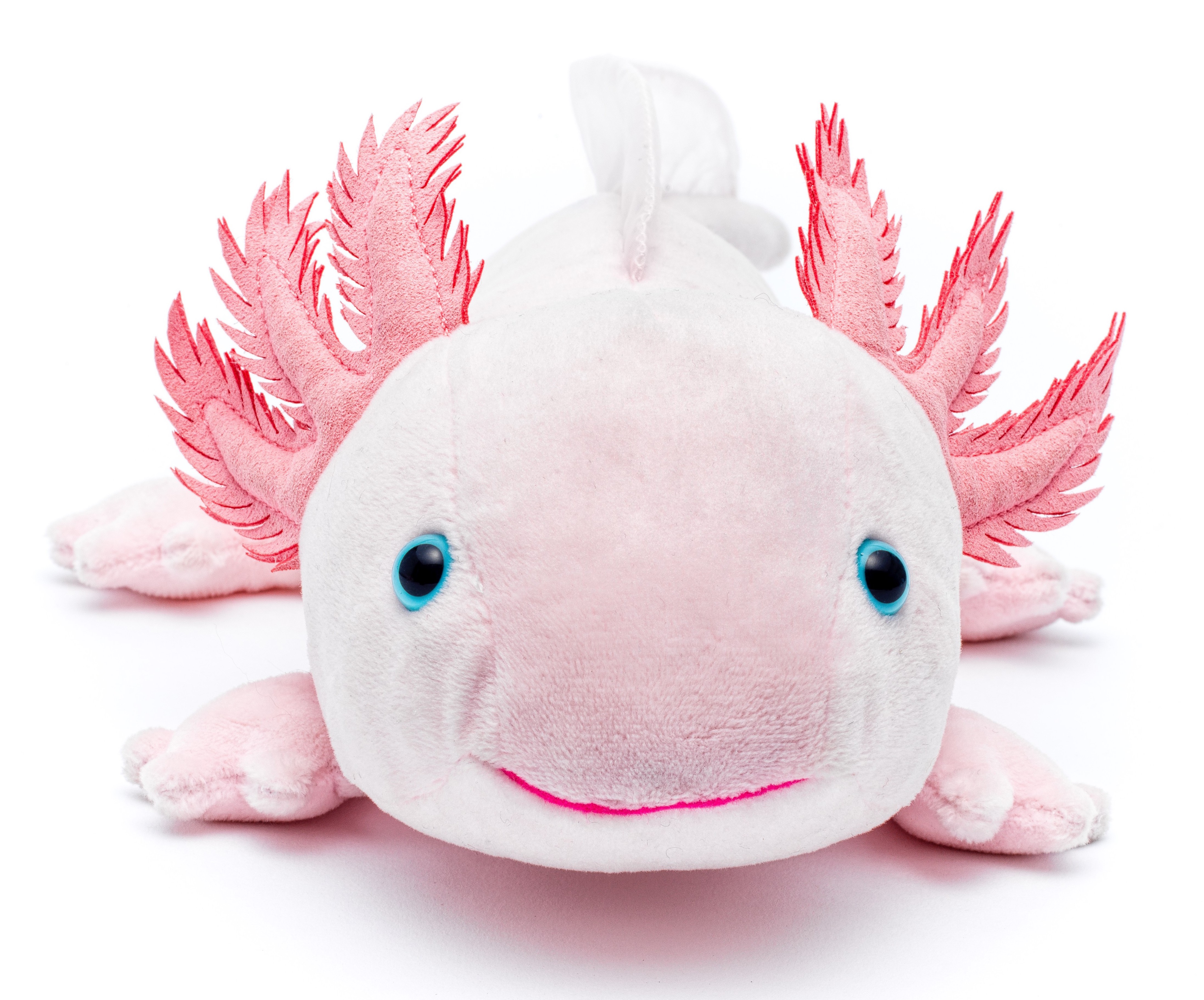 Axolotl (pink)- 32 cm (length) 