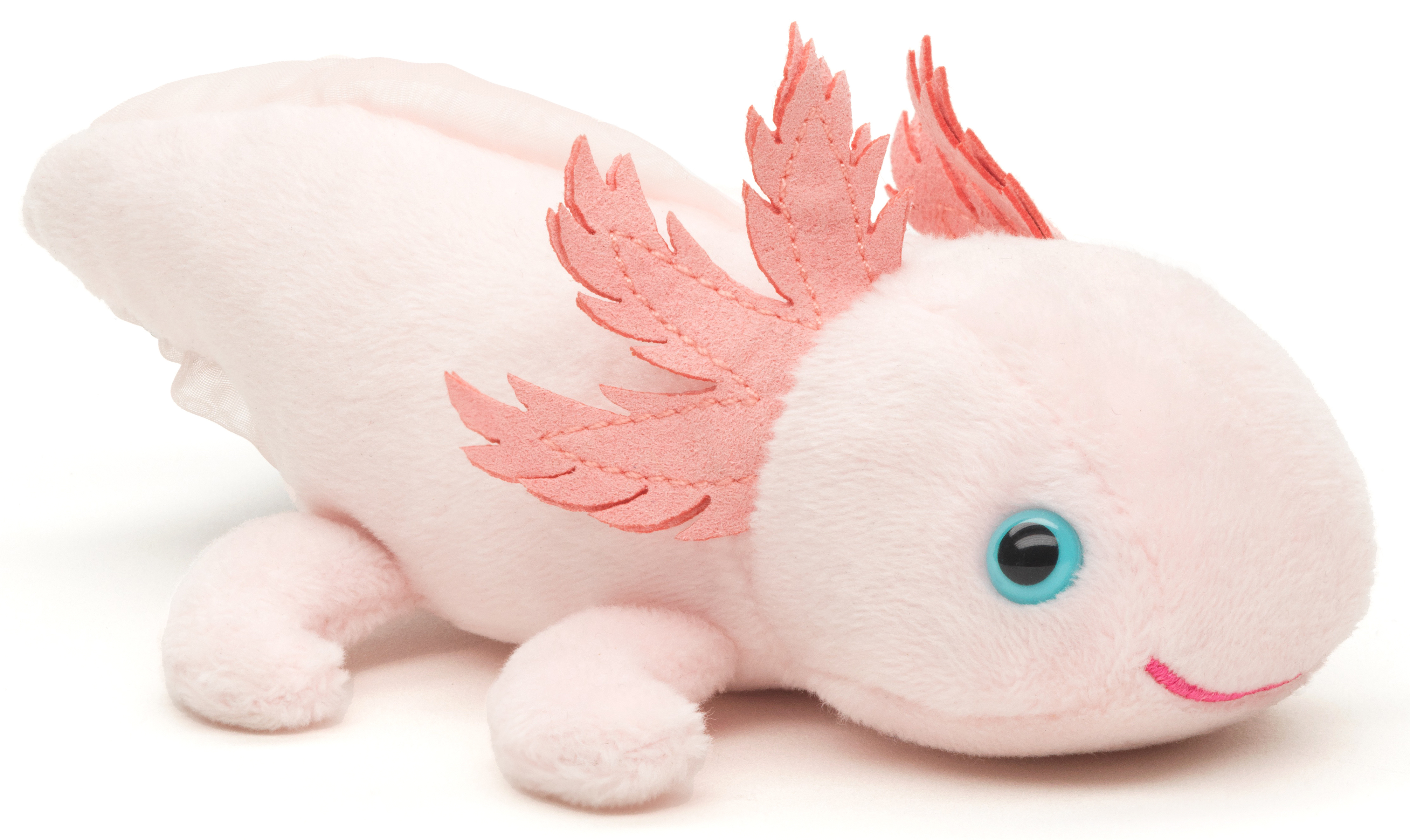 Axolotl with magnet