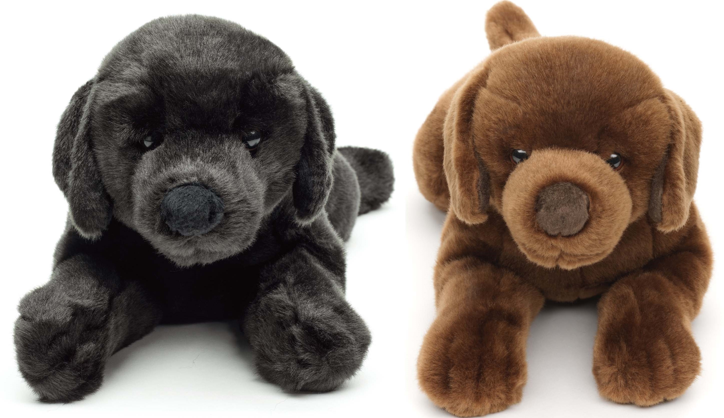 Labrador black OR brown, lying - 40 cm (length)