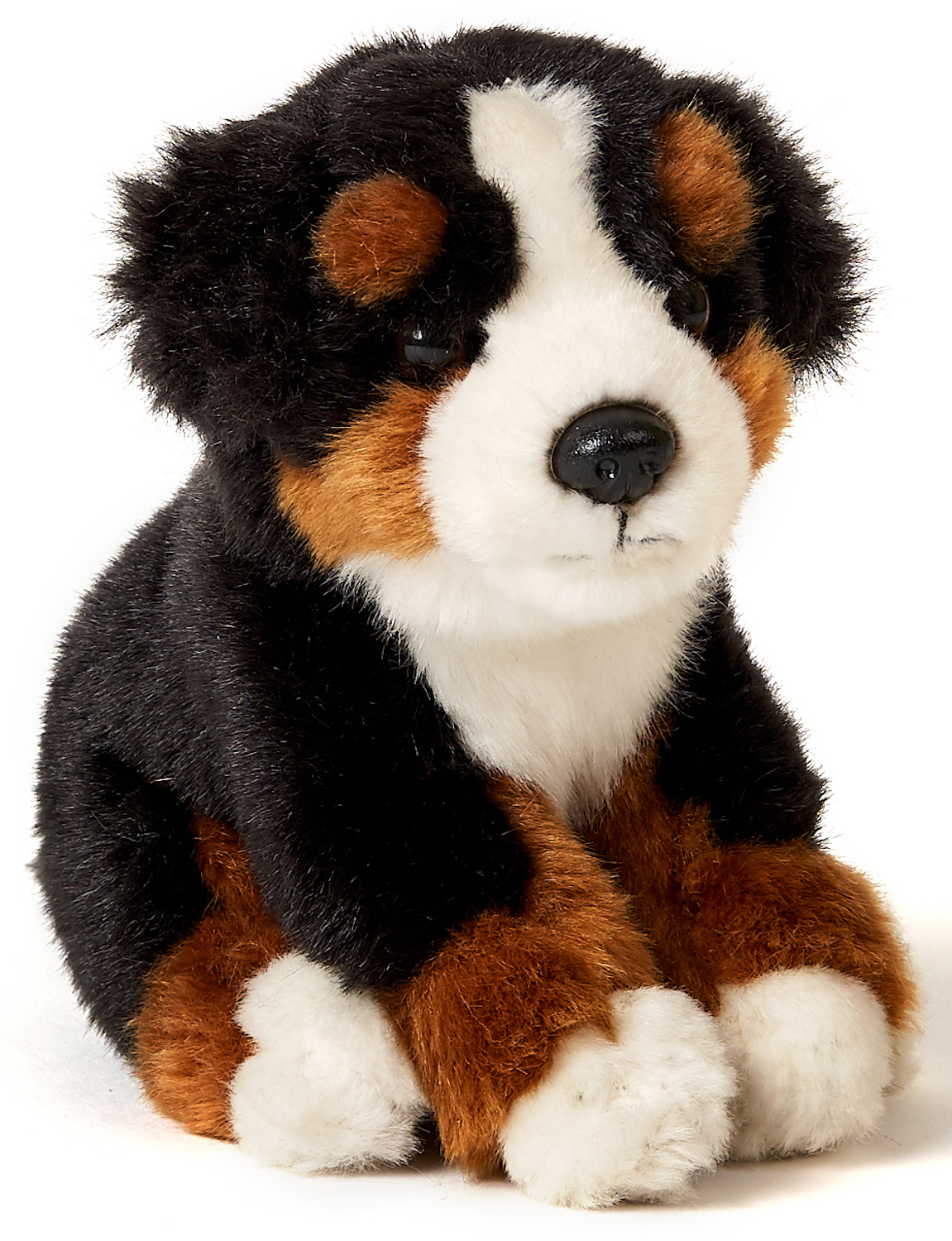 Bernese Mountain Dog Puppy, Sitting - 15 cm (height) 