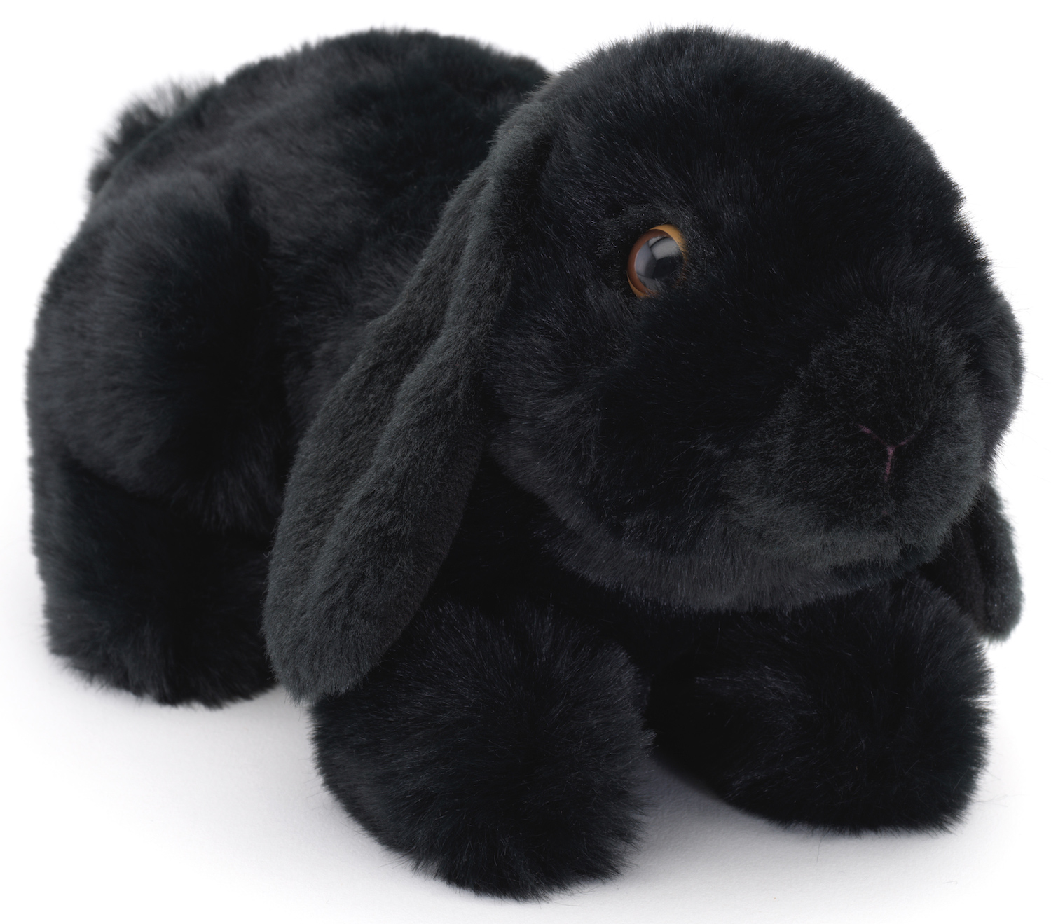 Lop-eared rabbit black, lying