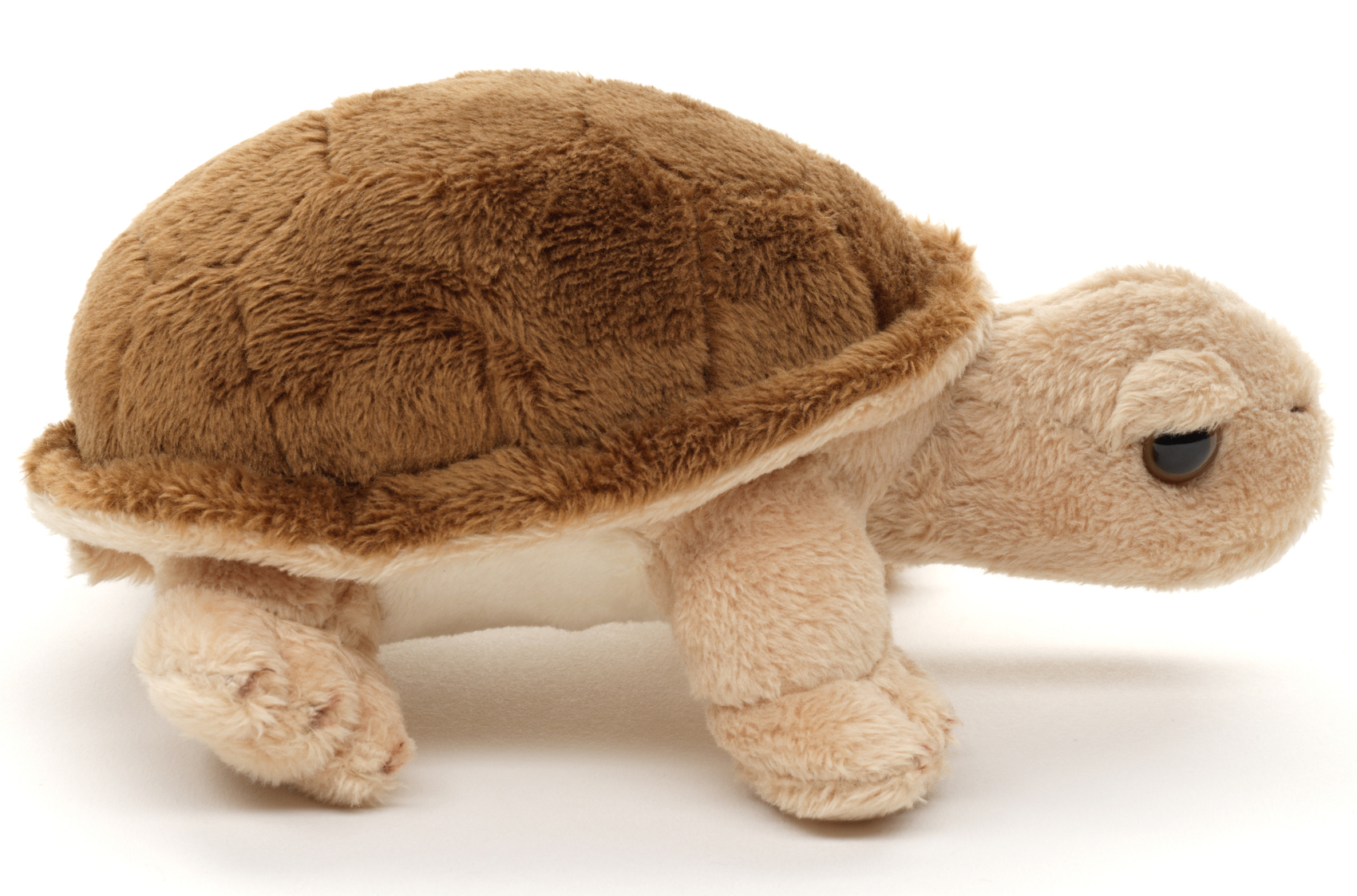 Landschildkröte Plushie- 14 cm (Länge)