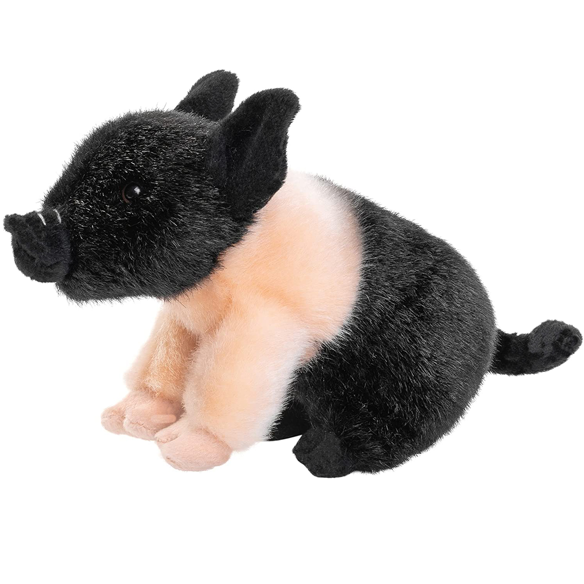 Angler Saddleback Piglet - 20 cm (length) 