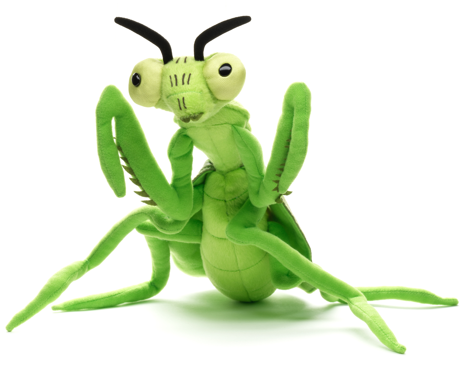 Praying mantis - 34 cm (length)