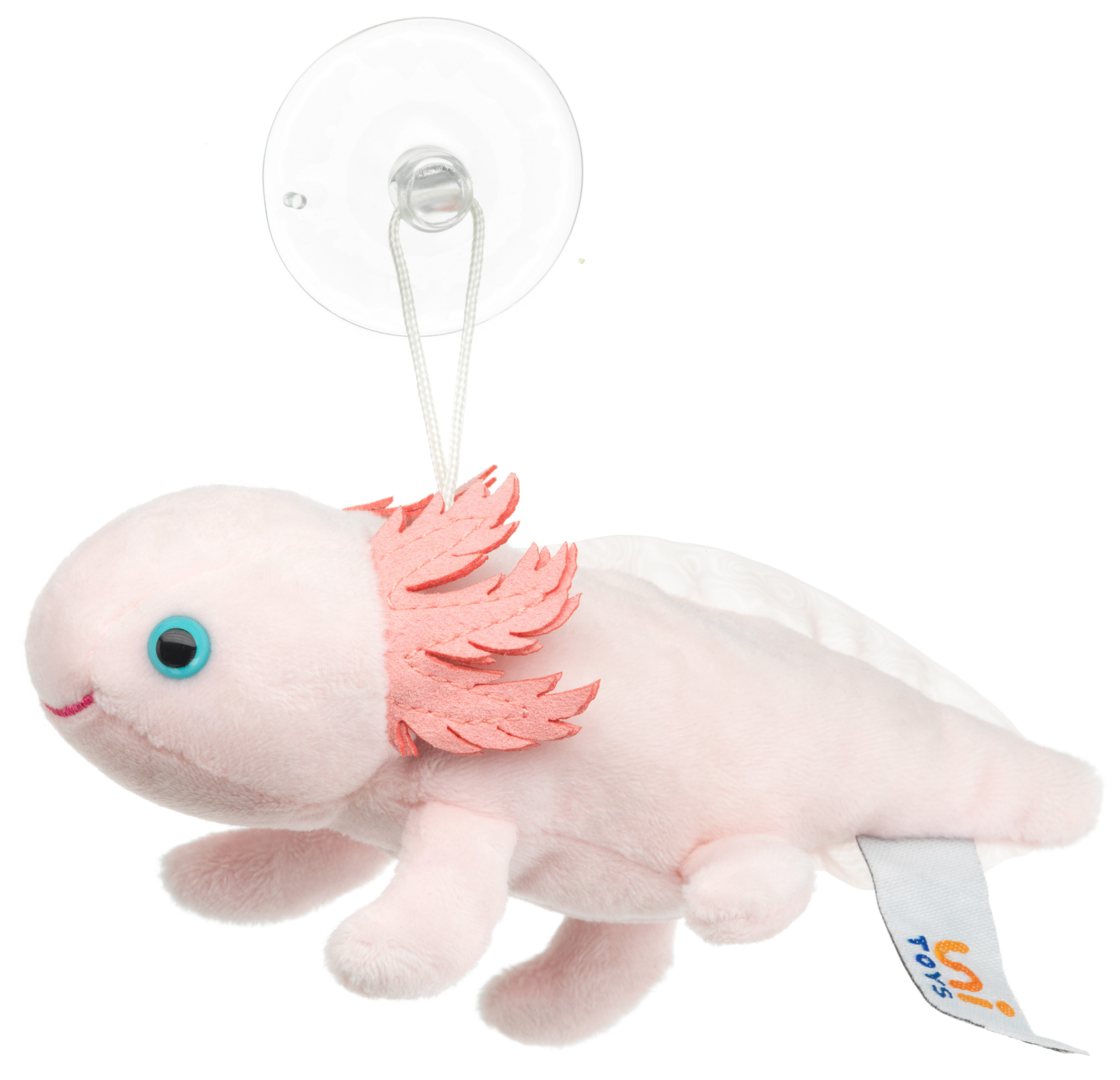 Axolotl with suction cup