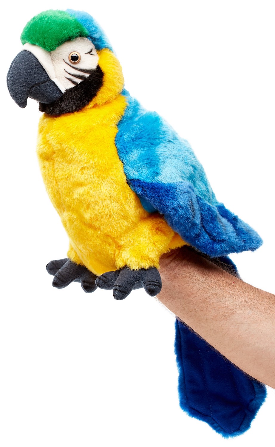  hand puppet parrot with rotatable head - 26 cm (height) 