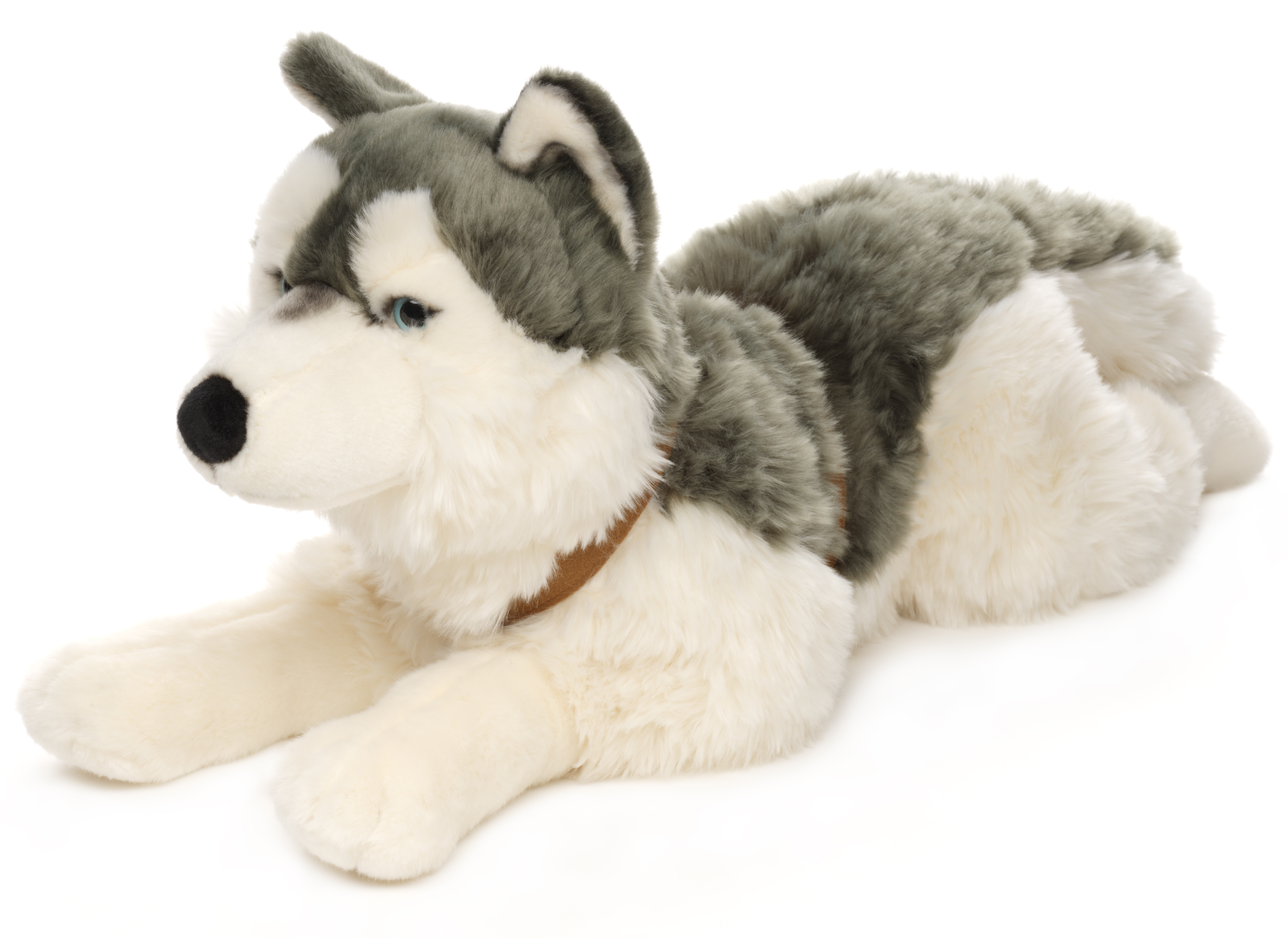 Husky with harness, lying - 62 cm (length)