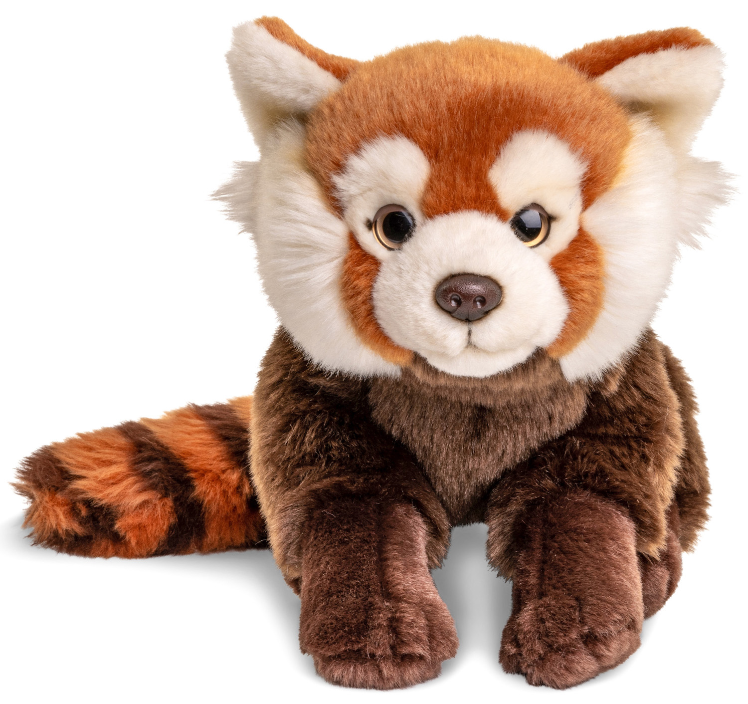 Red Panda, Sitting - 27 cm (length) 