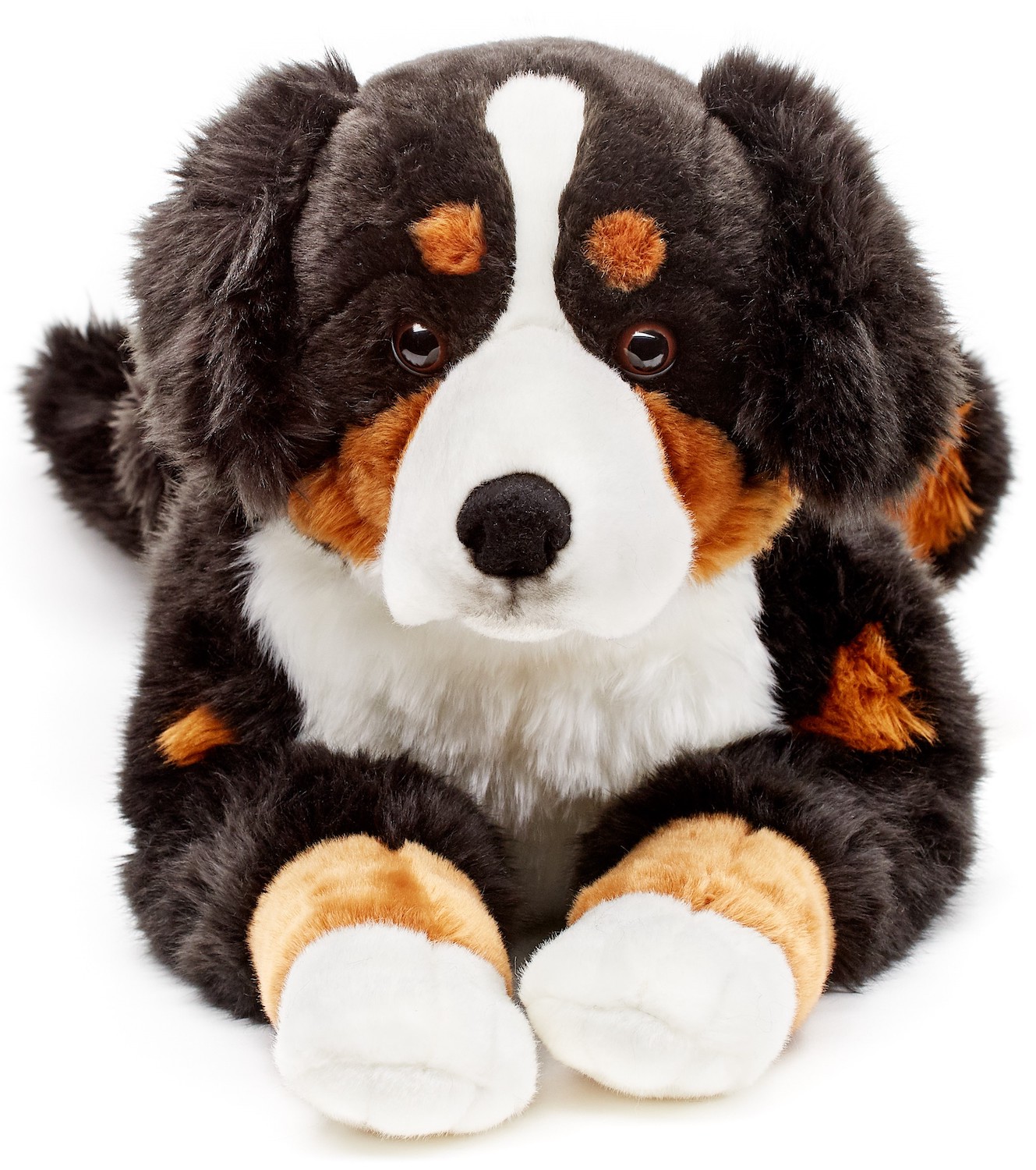 Berner Sennenhund, liegend - 70 cm (Länge) 