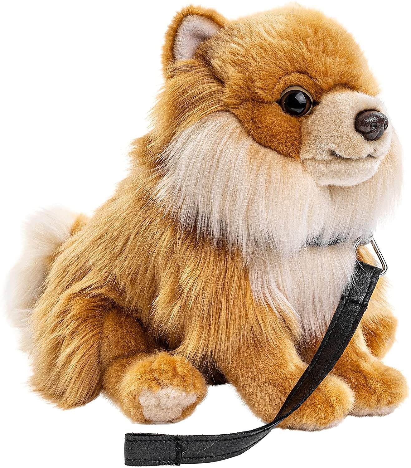 Dwarf Spitz, sitting (with leash OR without leash) - 23 cm (height)  