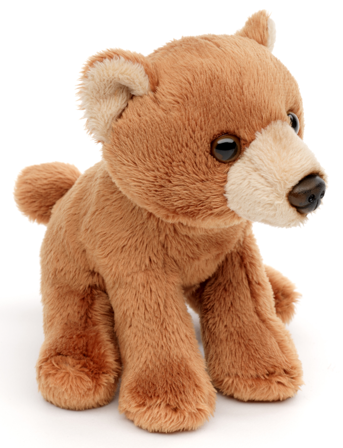 Brown Bear Plushie - 13 cm (length)