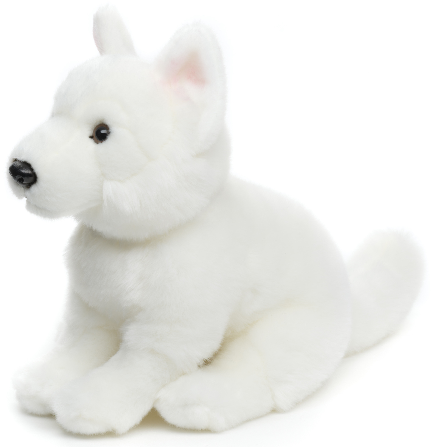 White Swiss Shepherd Puppy - Without leash OR With leash - 26 cm (height)  