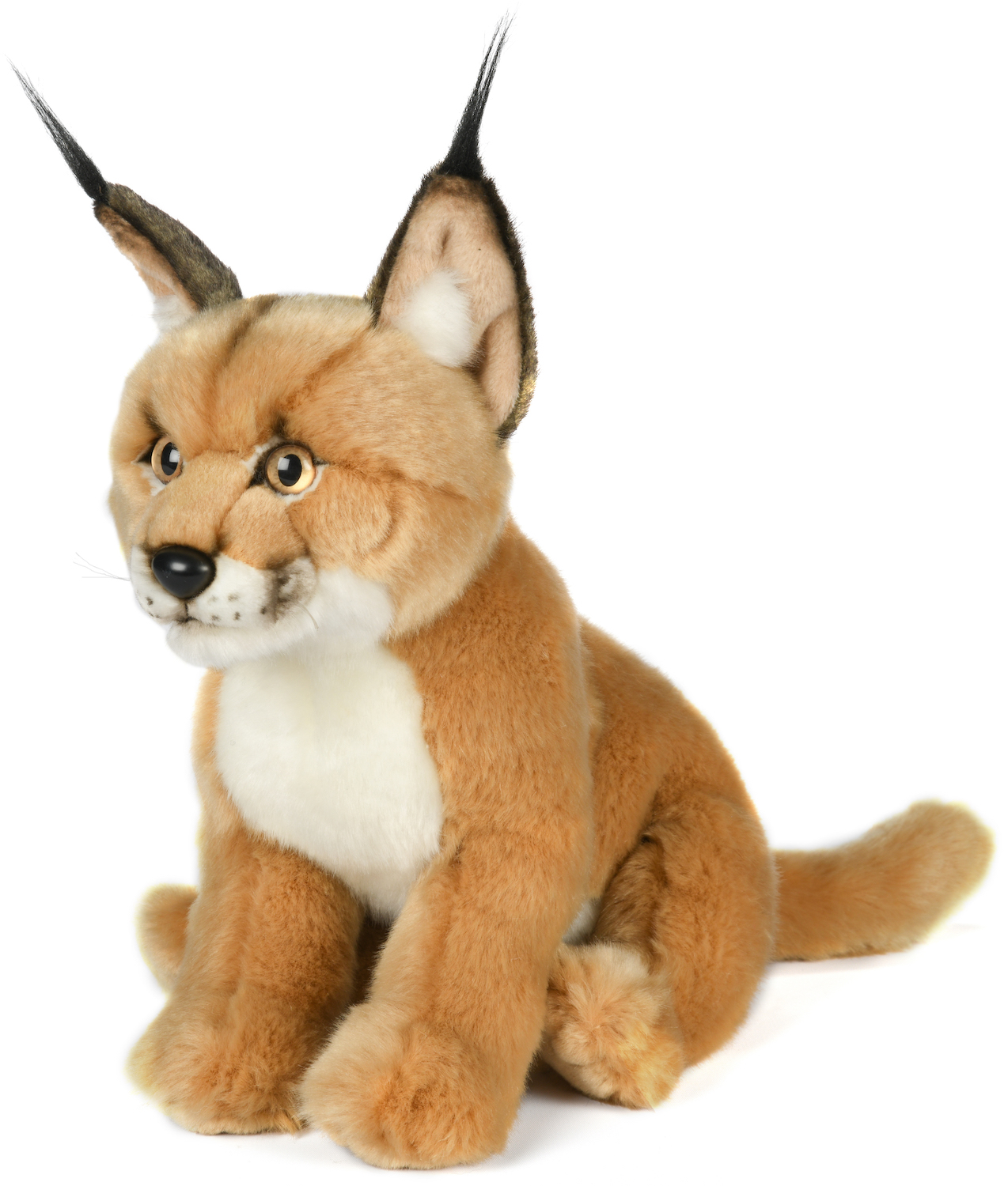 Caracal, Sitting - 30 cm (height) 