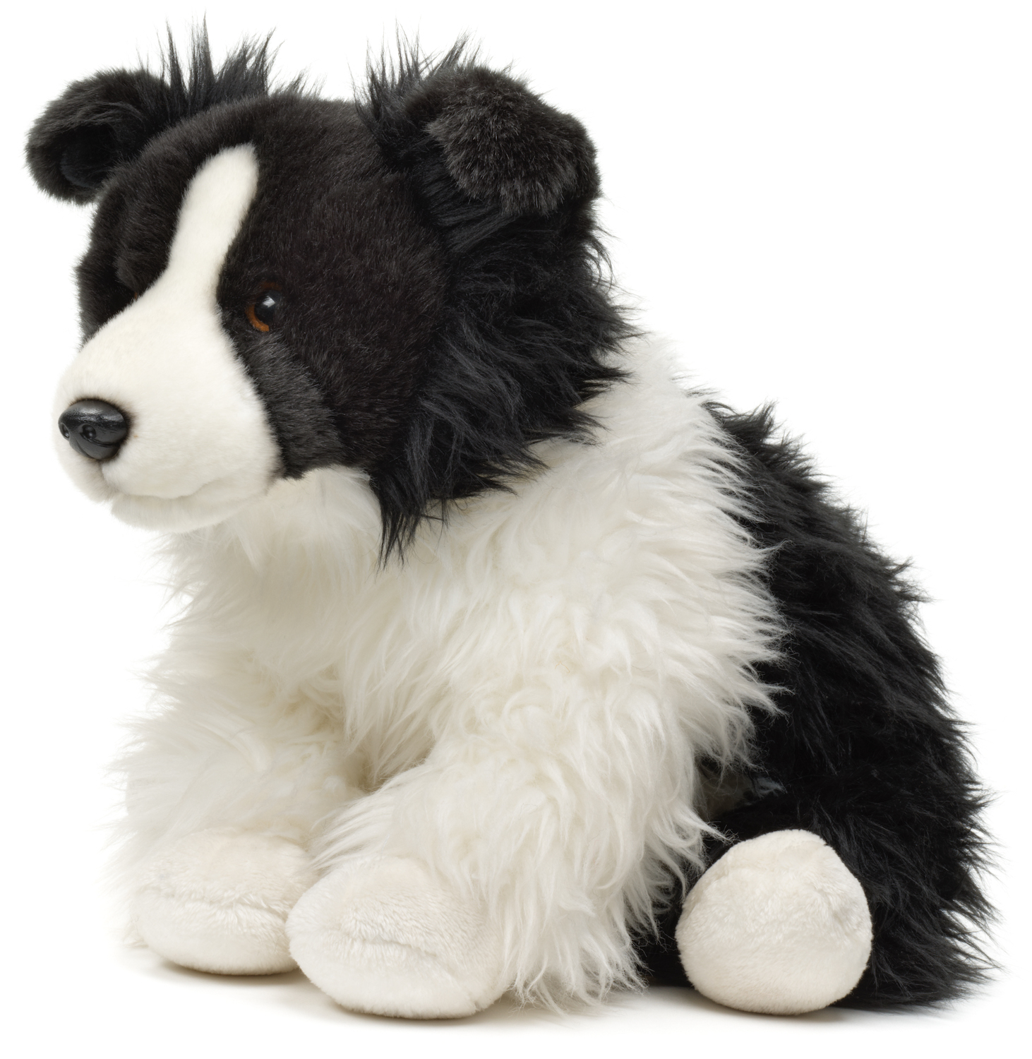 Border Collie, sitting (with/without Leash) - 26 cm (height)