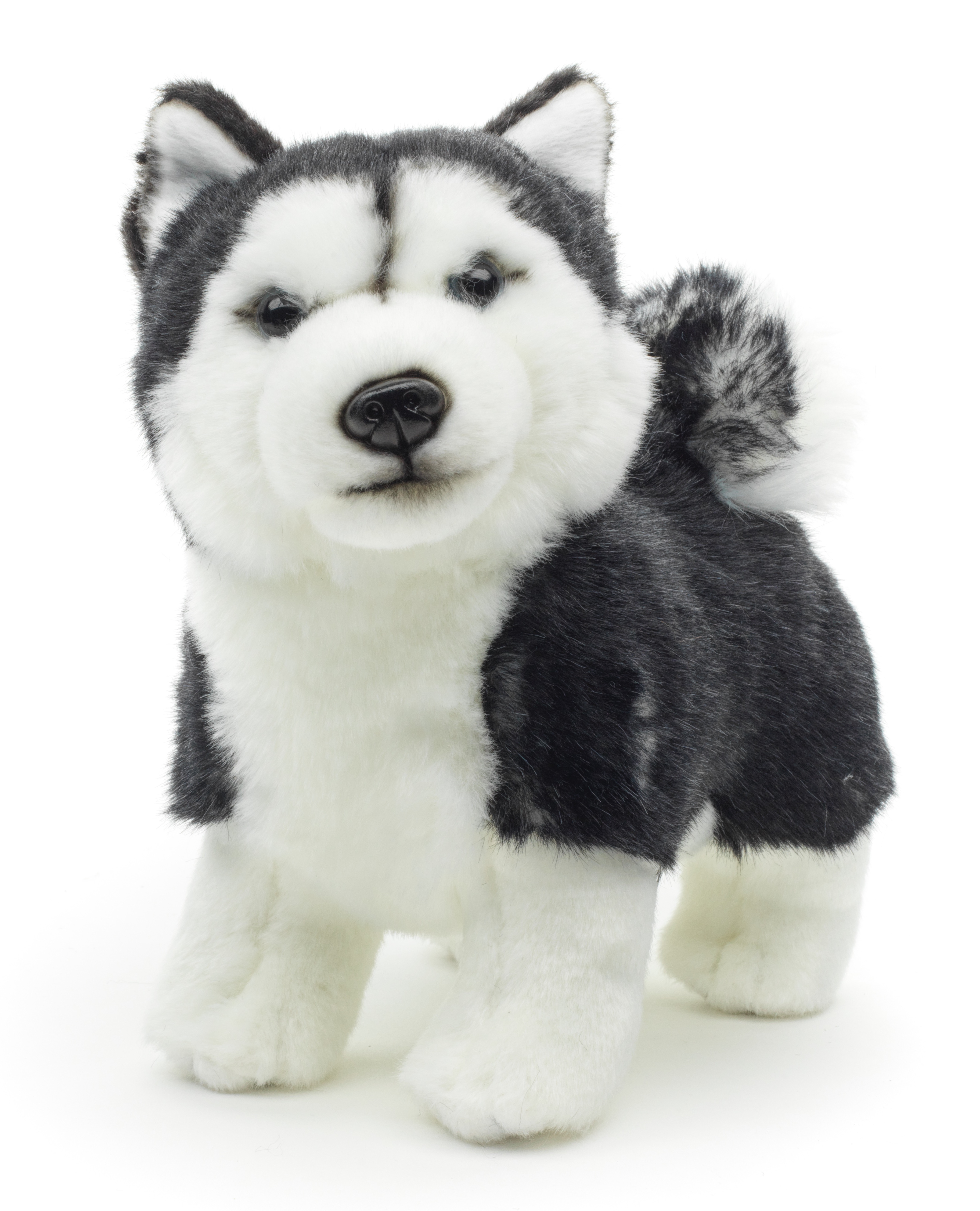 Husky puppy, standing (black) - With  leash OR Without leash - 21 cm