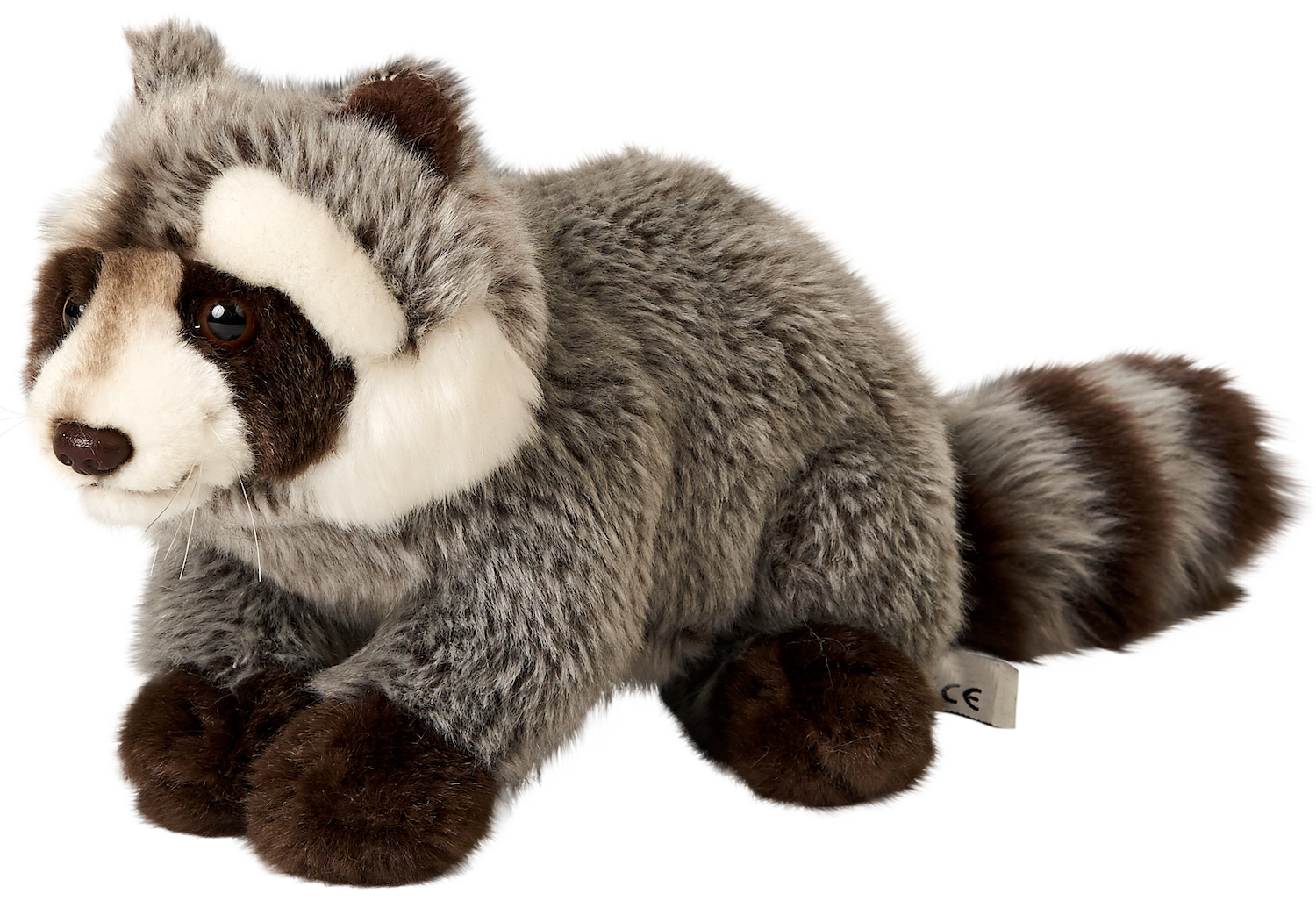  Raccoon - 23 cm (length)  