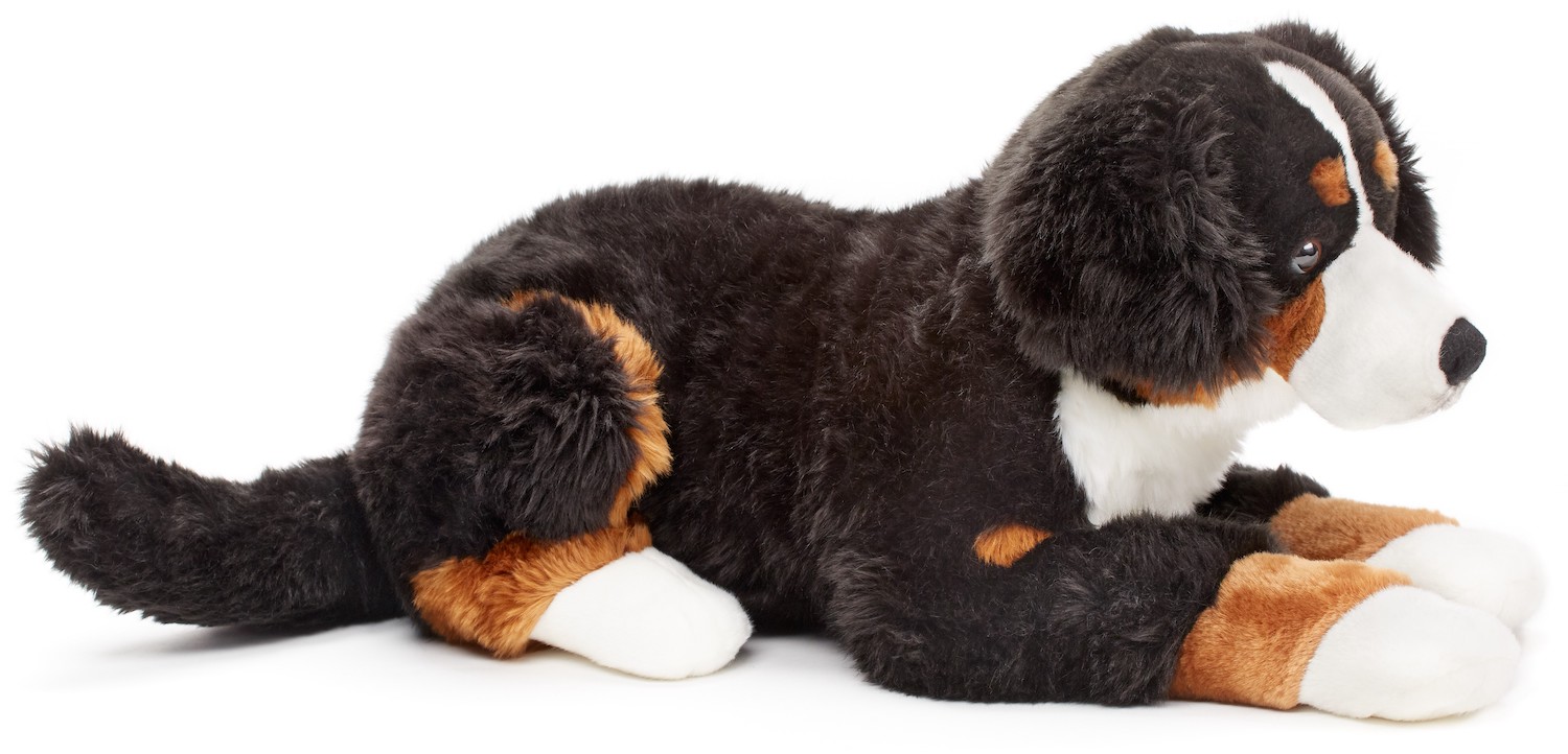  Bernese Mountain dog - 70 cm (length)