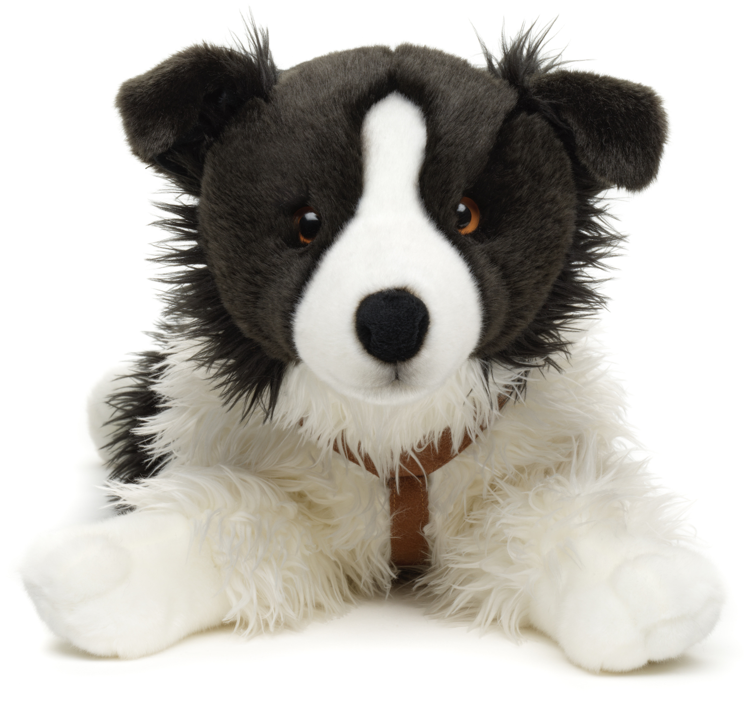 Border Collie Black And White, Lying (With Harness) - 64 cm (length) 