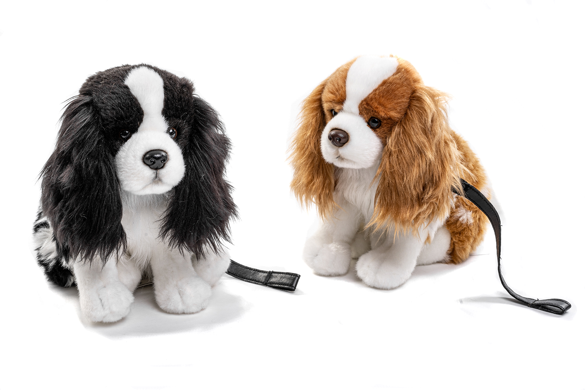 cocker spaniel brown-white, sitting - With collar and leash - 23 cm (height) 