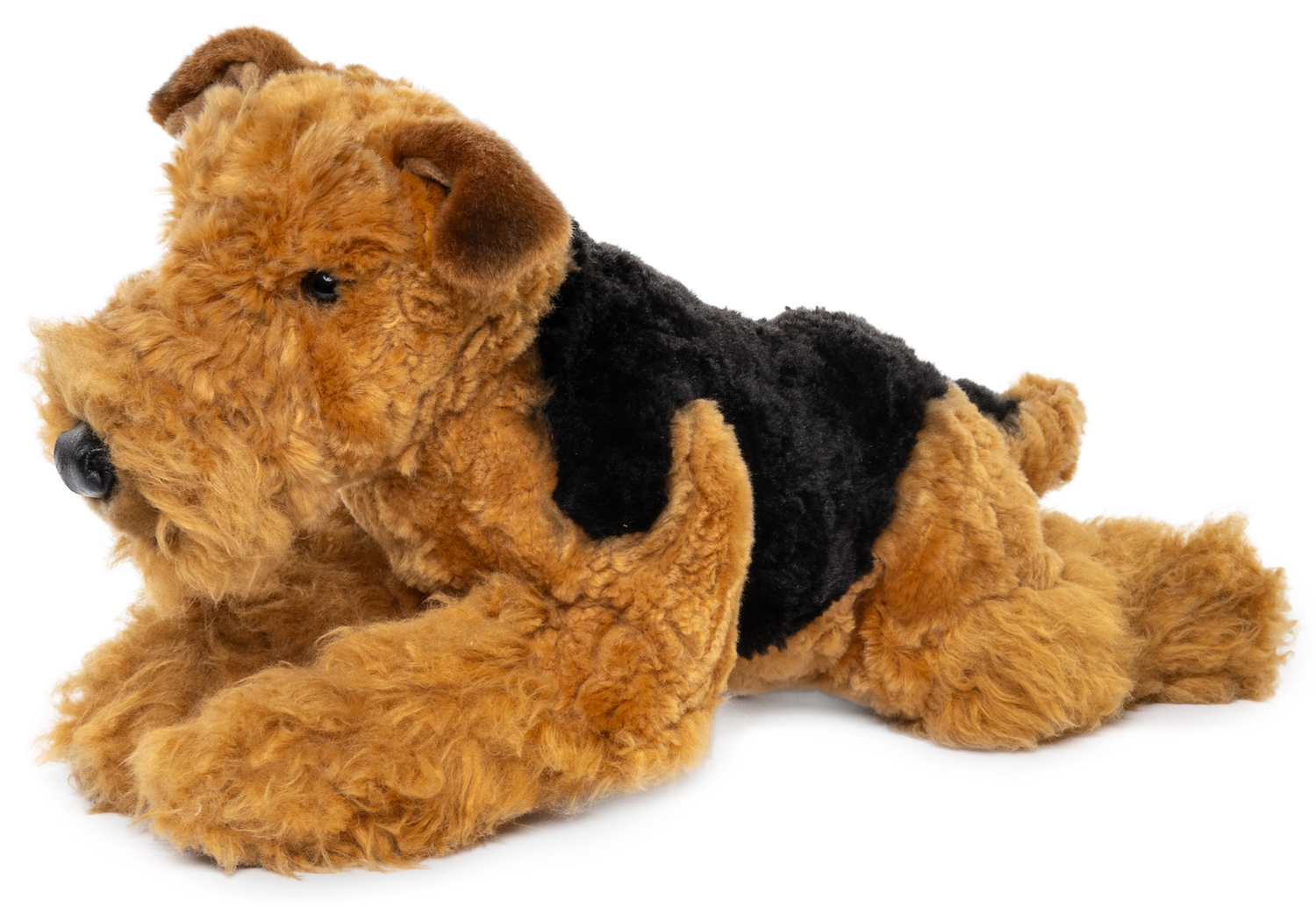 Airedale Terrier, lying - 43 cm (length)