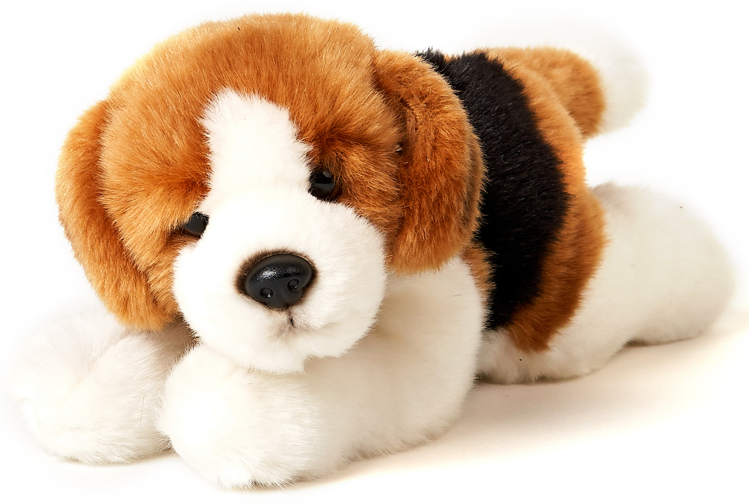 Beagle puppy, lying - 24 cm (length) 