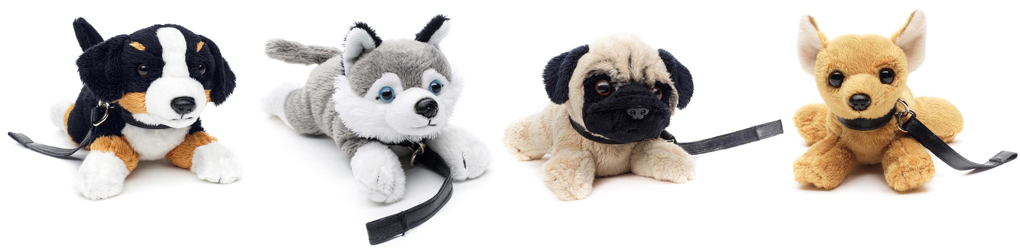 Chihuahua, Husky, Bernese, Pug,  Plushie (with leash) 