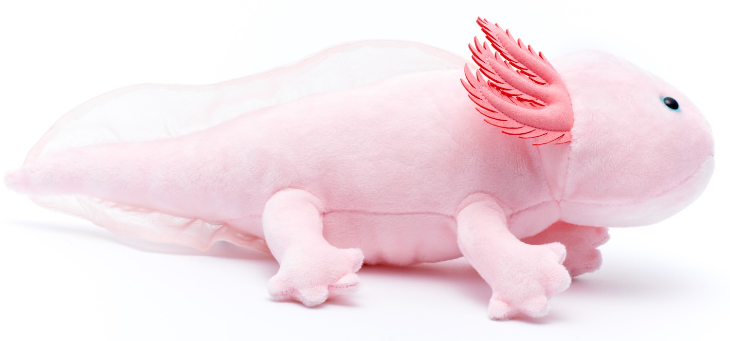 Axolotl (pink)- 32 cm (length) 