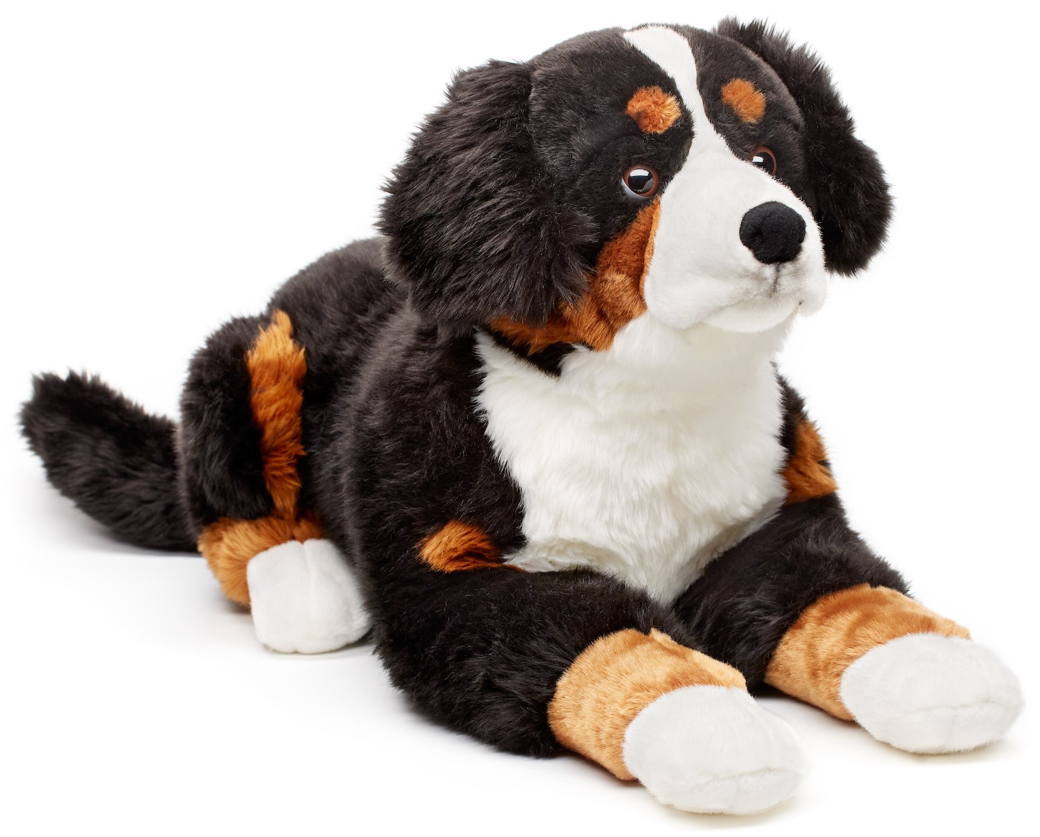 Berner Sennenhund, liegend - 70 cm (Länge) 