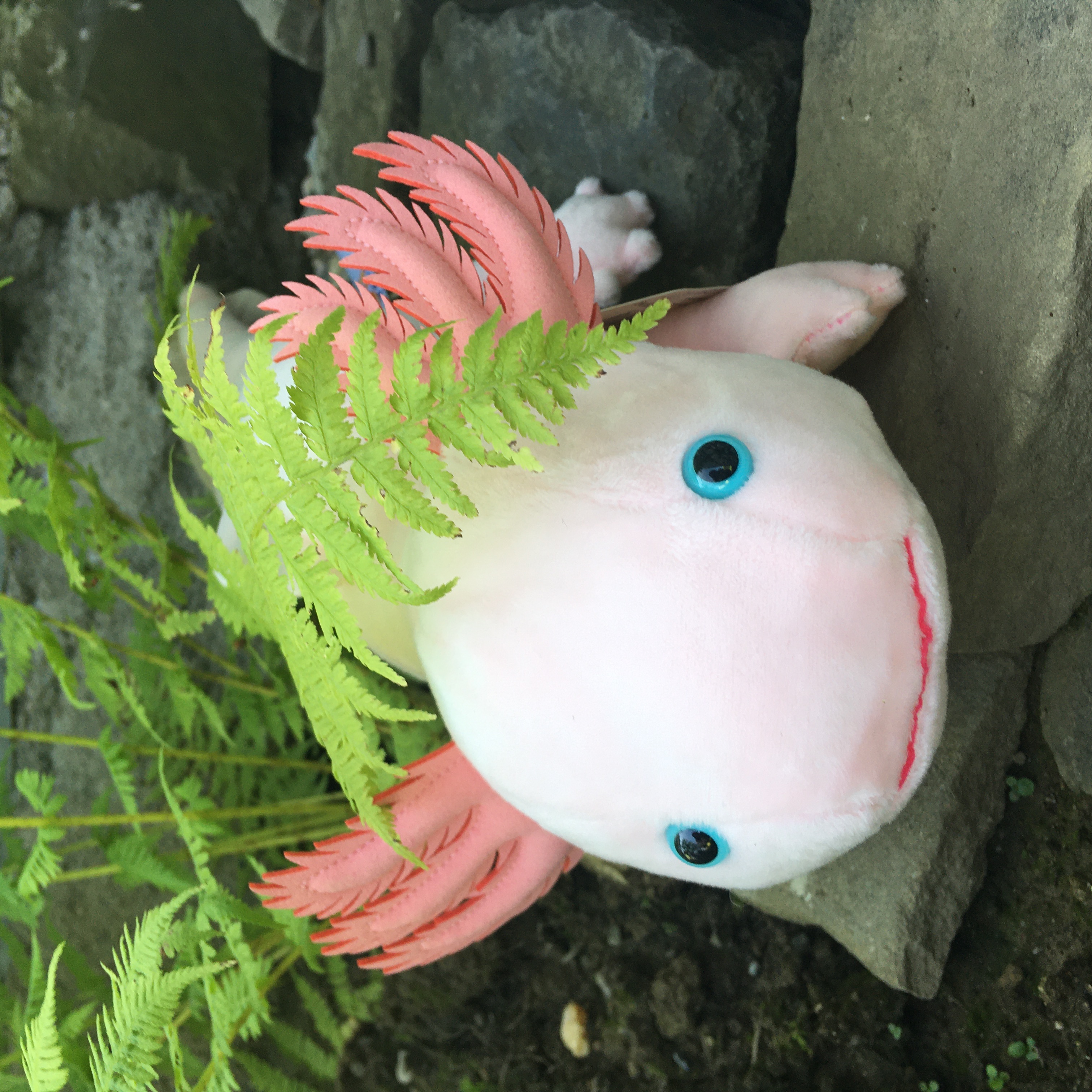 Axolotl (pink)- 32 cm (length) 