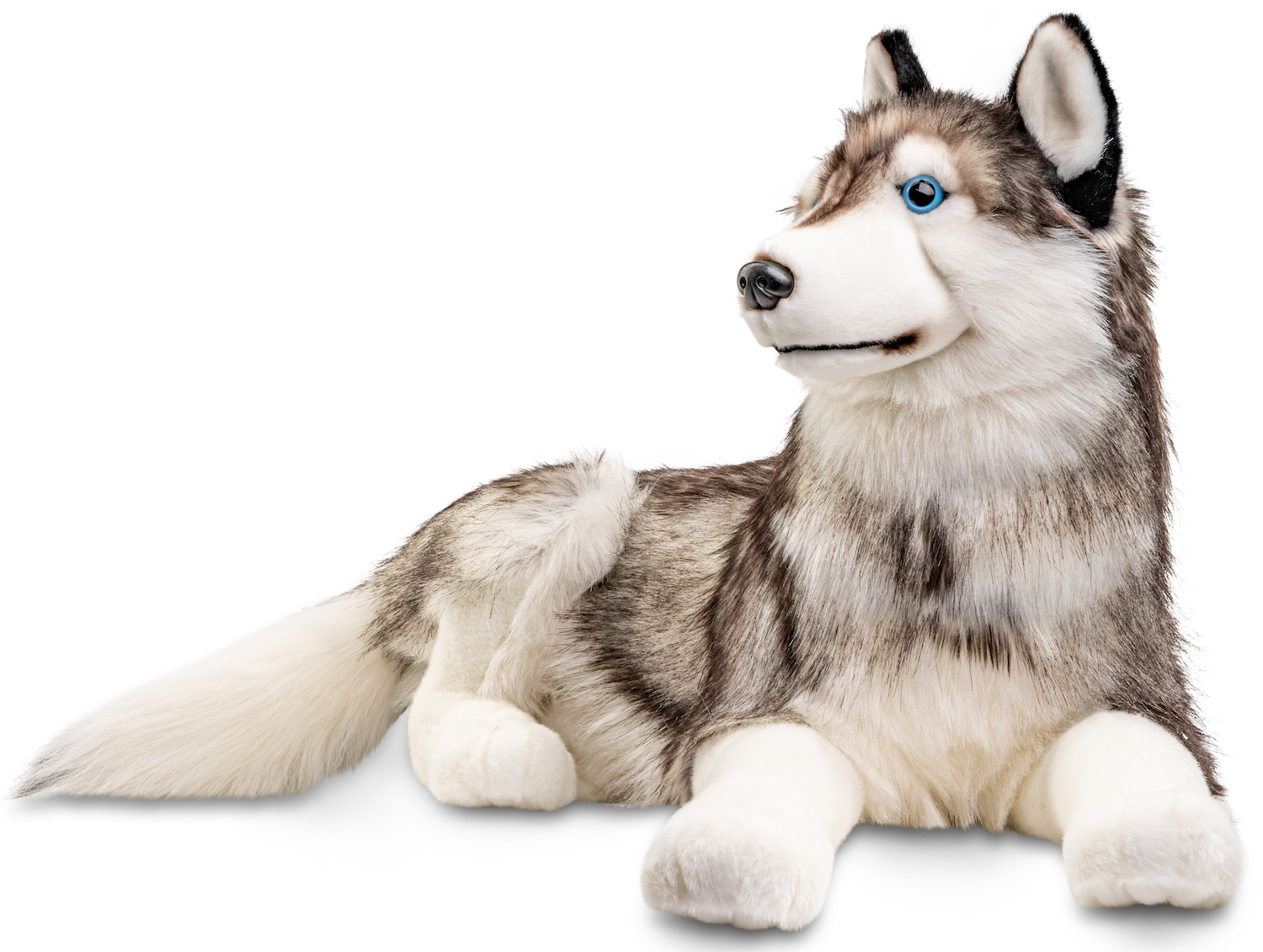 Husky, lying - 100 cm (length) 