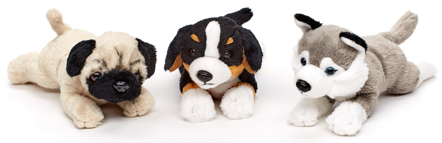 Bernese Mountain Dog, Pug, Husky, Plushie (without leash) 