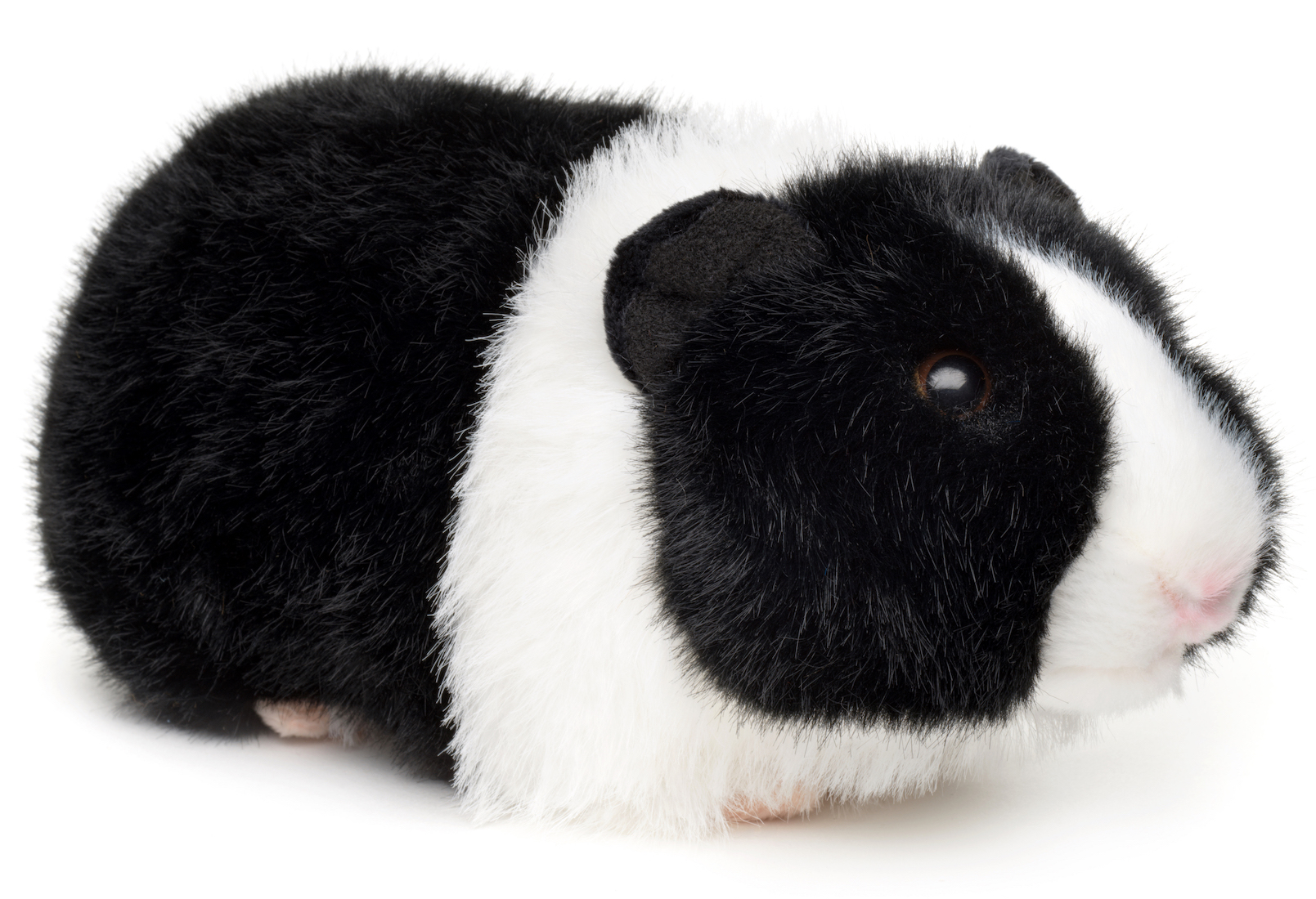 Meerschweinchen (schwarz-weiß) - 21 cm (Länge)